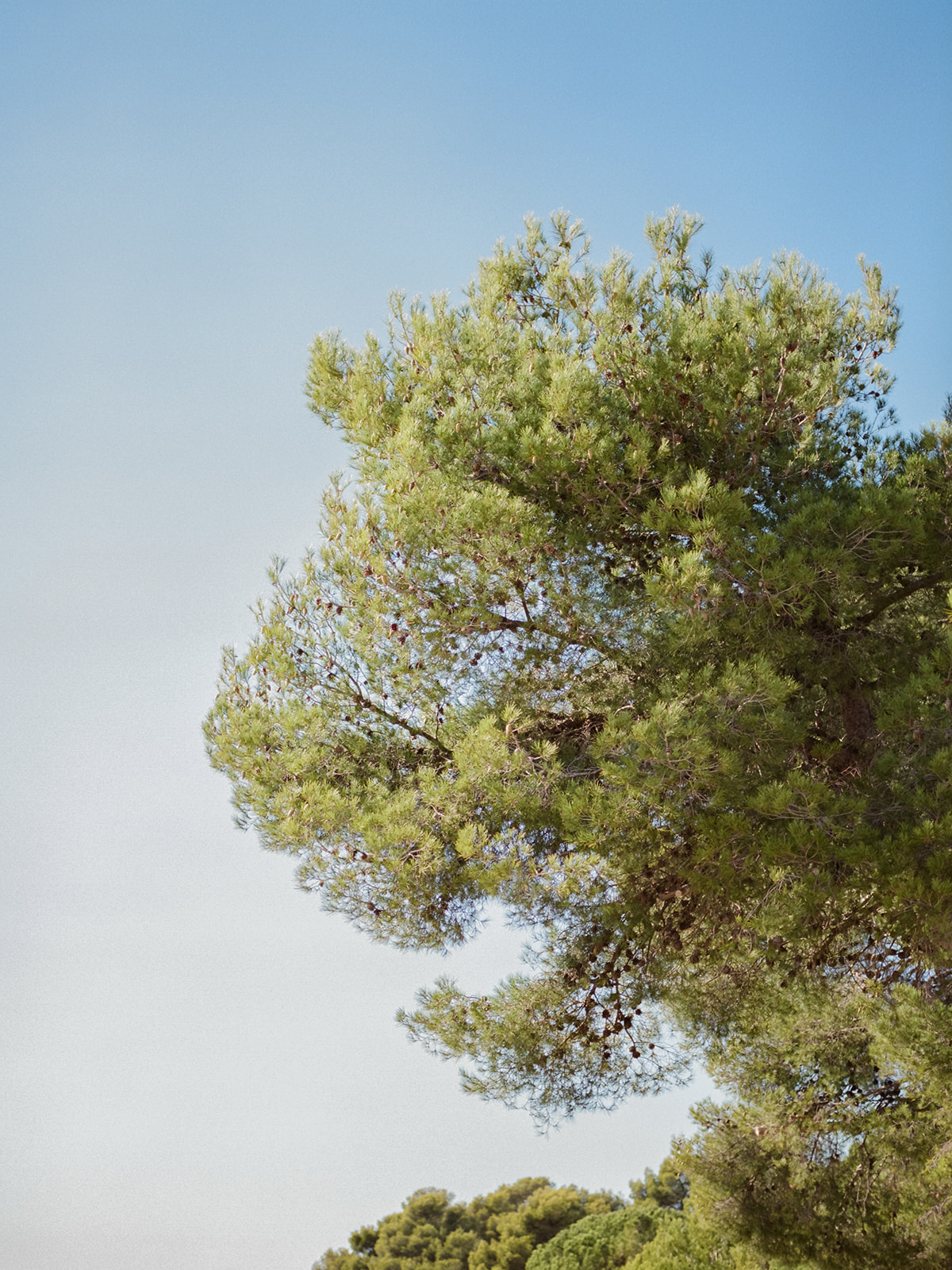 Fugue d'été au Café Léoube - Blog Mariage Madame C