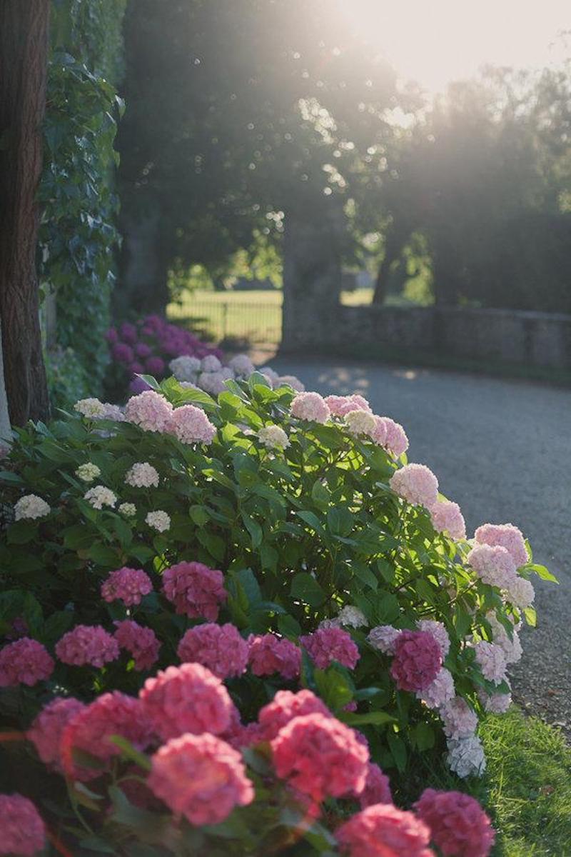 20 Châteaux d'exception où se marier - Blog Mariage Madame C 20 Châteaux d'exception où se marier - Blog Mariage Madame C