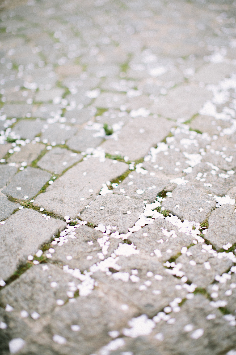 Mariage intime au Panthéon - Maëlys + Paul-Loup - Blog Mariage Madame C Mariage intime au Panthéon - Maëlys + Paul-Loup - Blog Mariage Madame C