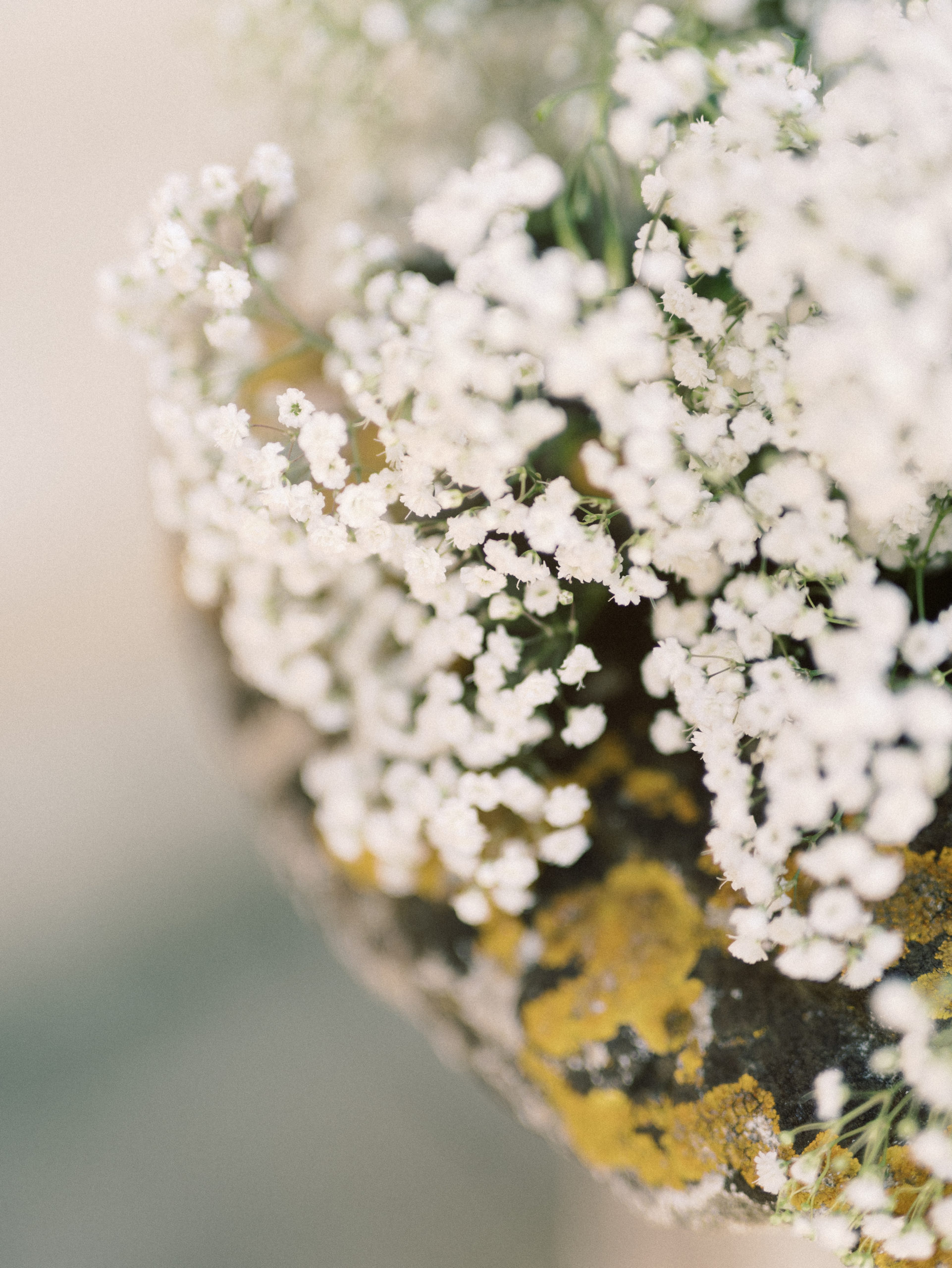 Fugue d'été en Provence - Dalida + Guillaume - Blog Mariage Madame C Fugue d'été en Provence - Dalida + Guillaume - Blog Mariage Madame C