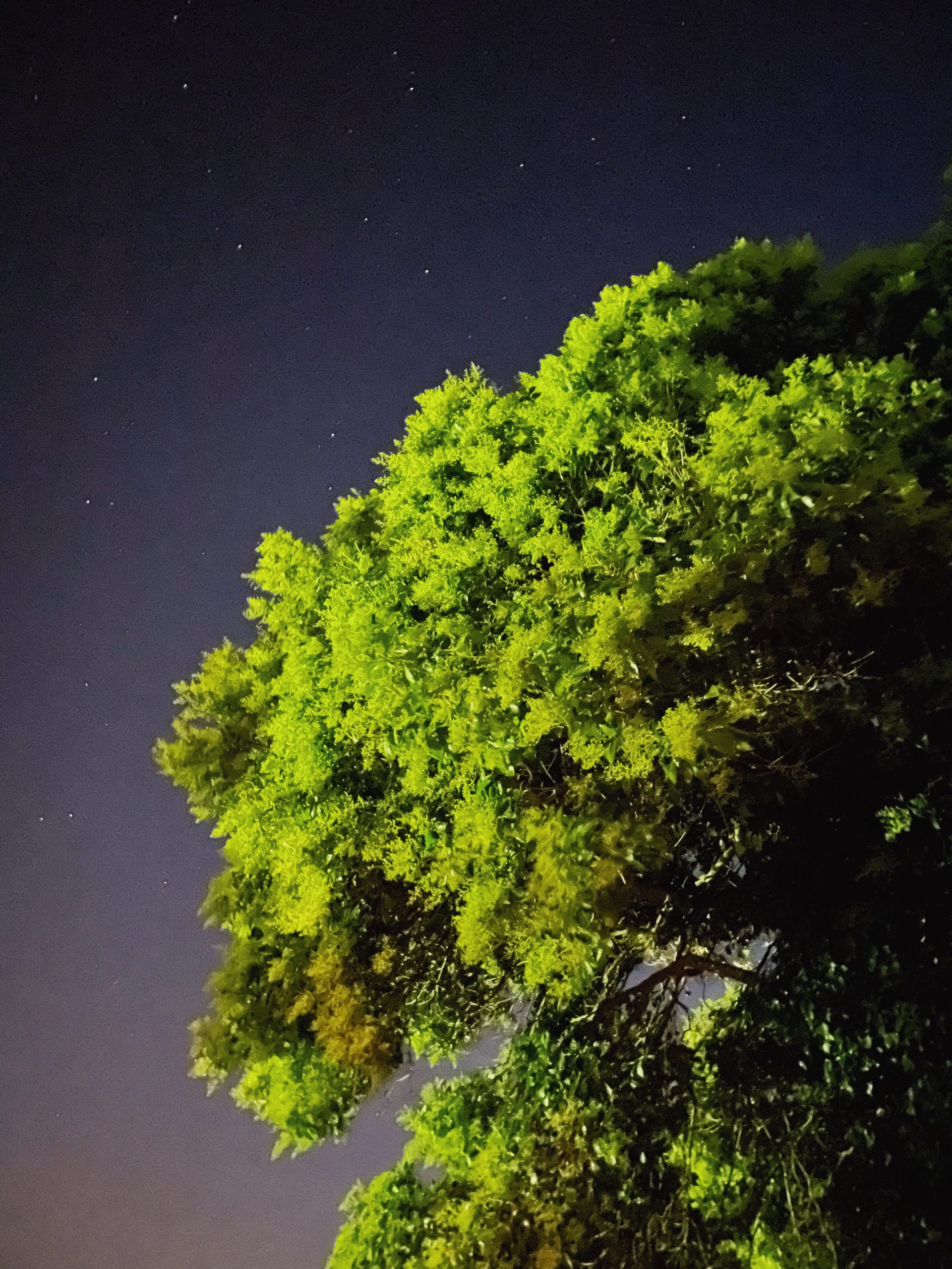 Bienvenue chez moi - Blog Mariage Madame C