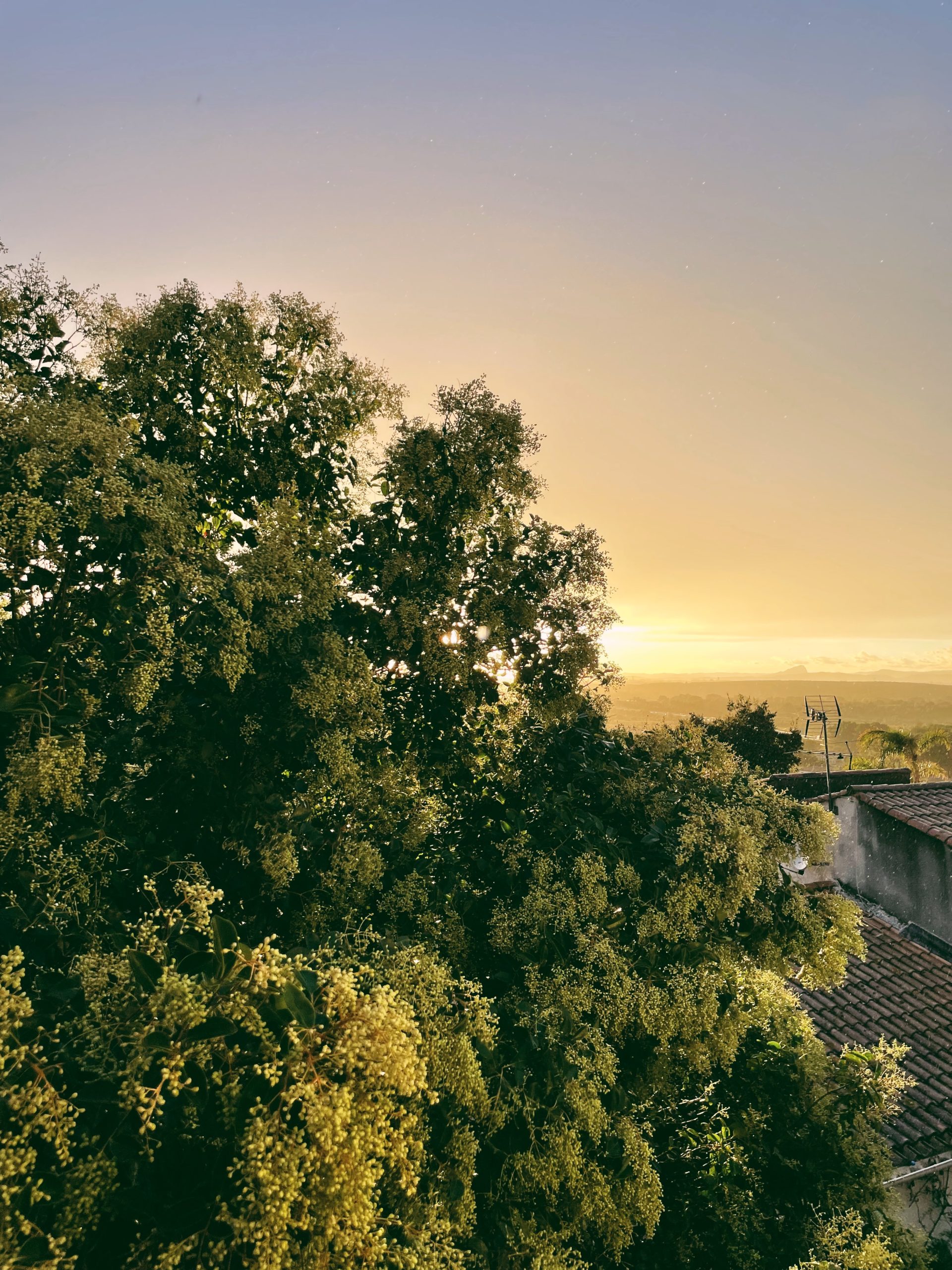 Bienvenue chez moi - Blog Mariage Madame C