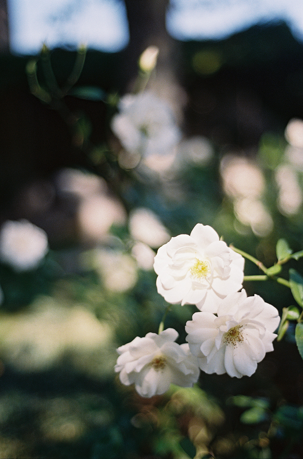 Mariage de Provence à la Bastide de Laurence - Mollie + Eduardo - Blog Mariage Madame C