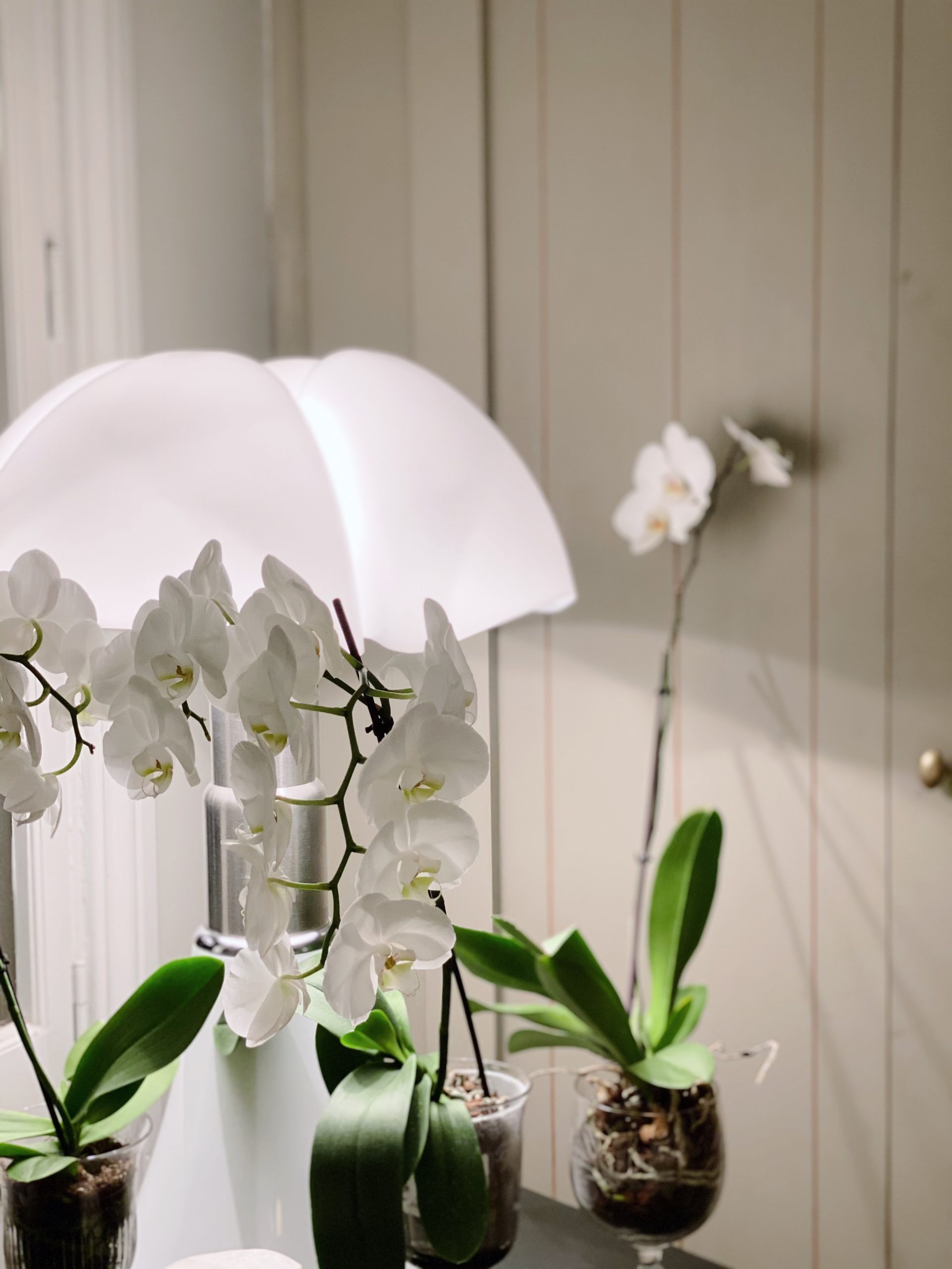 La Divine Comédie - Blog Mariage Madame C La Divine Comédie - Blog Mariage Madame C