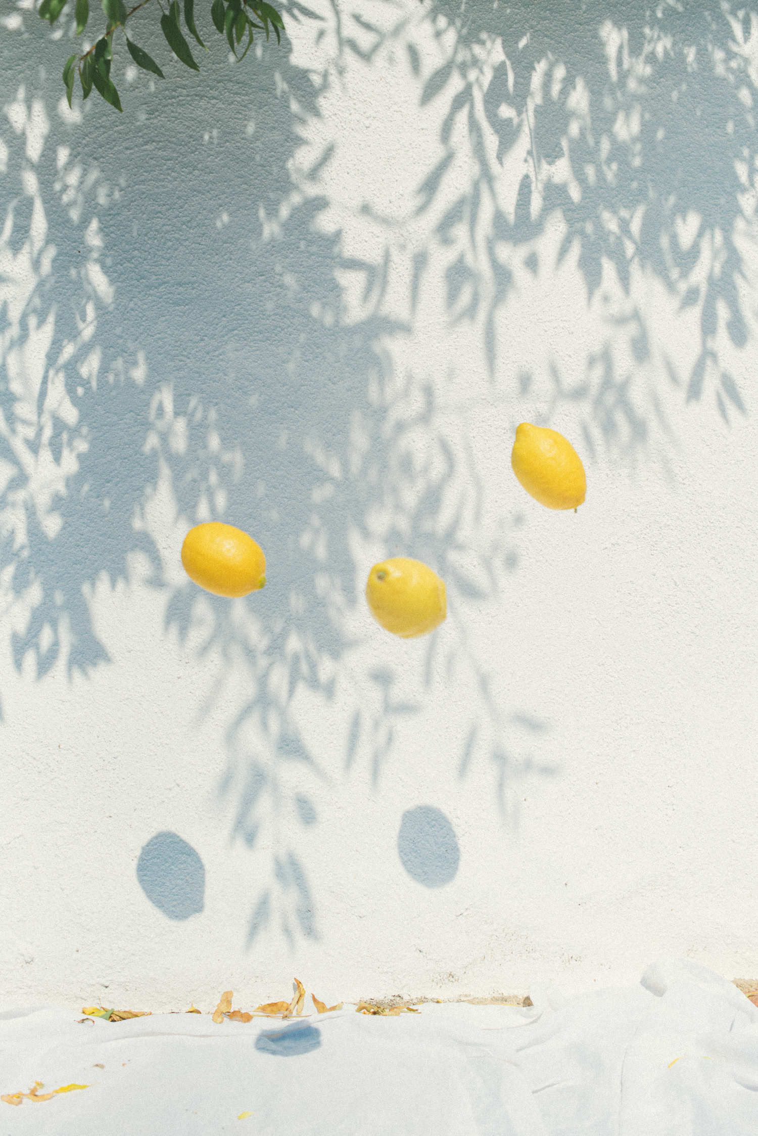 Casa Amar Collection 2021 - Boucles d'Oreilles - Blog Mariage Madame C Casa Amar Collection 2021 - Boucles d'Oreilles - Blog Mariage Madame C