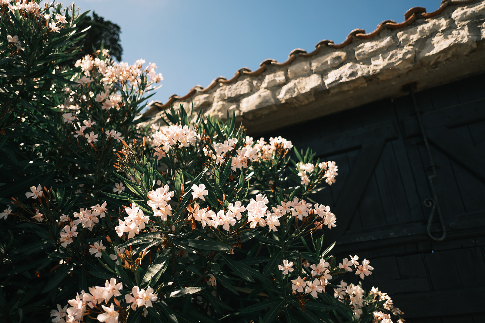 Mariage sur l'île de Ré - Iris + Arnaud - Blog Mariage Madame C Mariage sur l'île de Ré - Iris + Arnaud - Blog Mariage Madame C