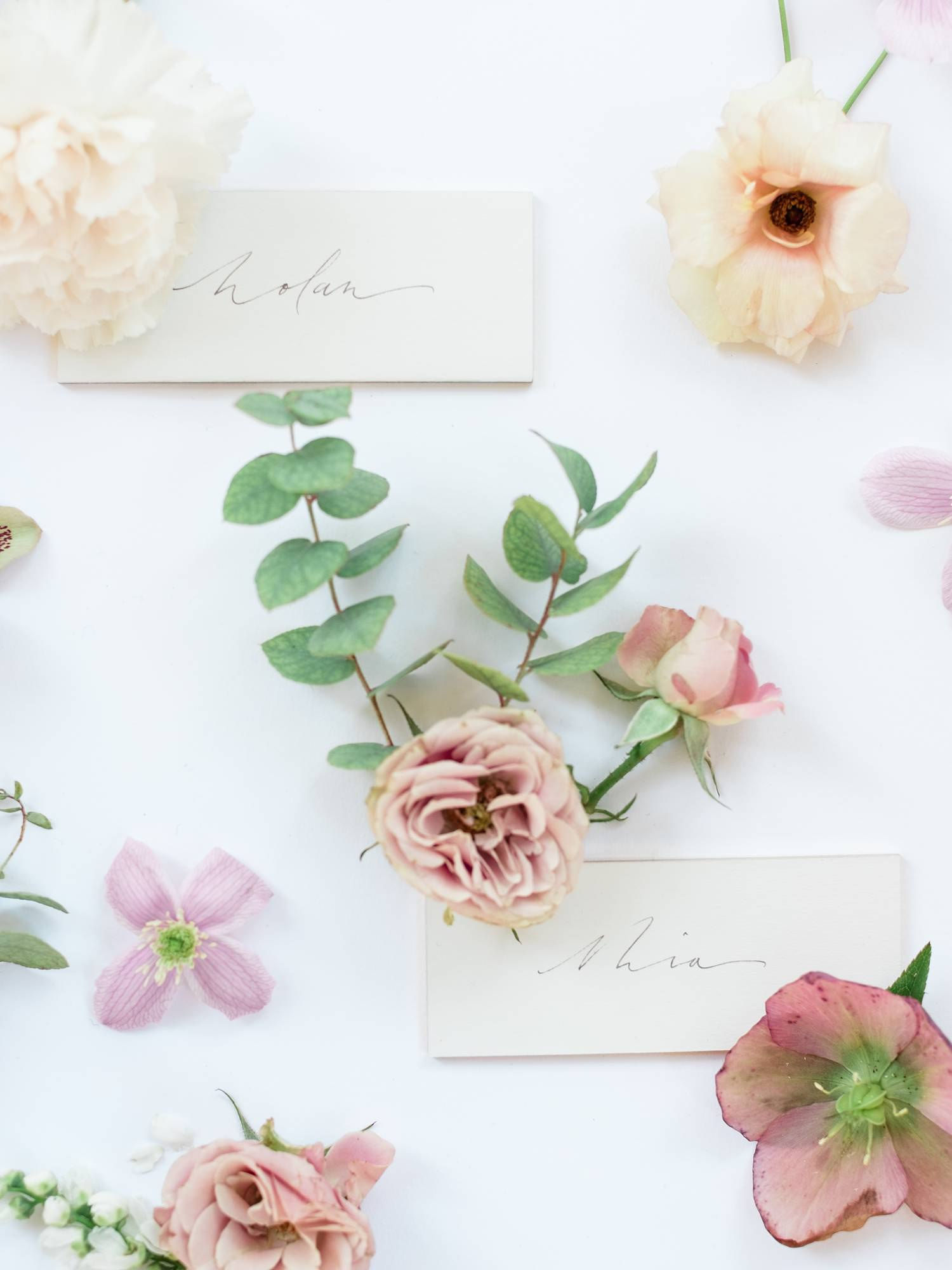 Mariages 2021 et COVID-19 - Le calendrier de reprise - Blog Mariage Madame C Mariages 2021 et COVID-19 - Le calendrier de reprise - Blog Mariage Madame C