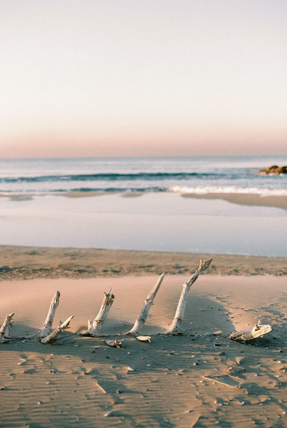 Wild Luxury - Blog Mariage Madame C