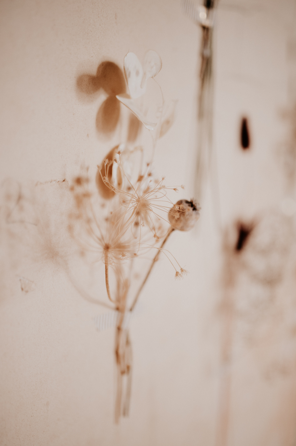 Céline Ménard Collection 2021 - Robes de mariée - Blog Mariage Madame C Céline Ménard Collection 2021 - Robes de mariée - Blog Mariage Madame C