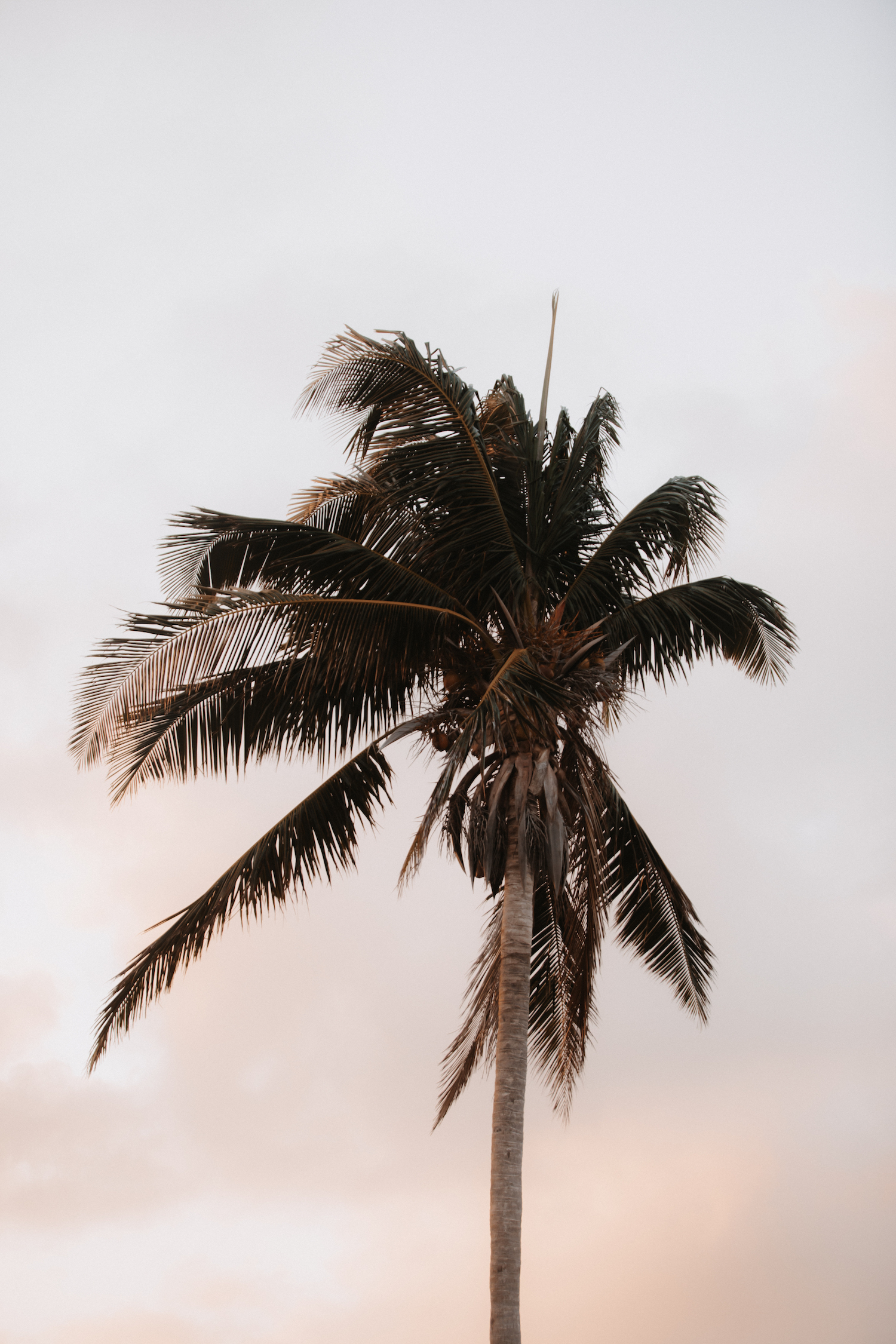 Fugue bohème au Mexique - Blog Mariage Madame C