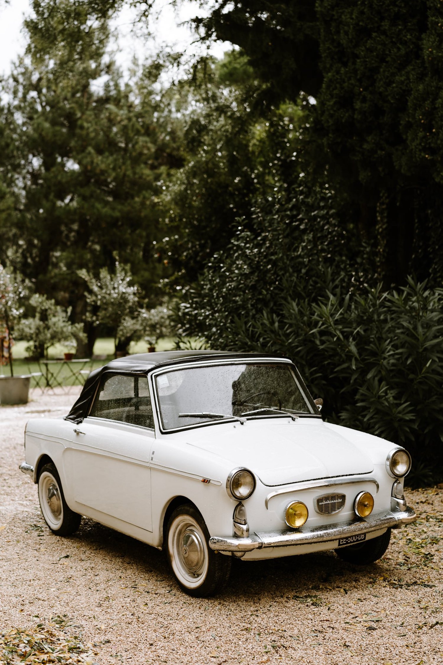 Mariage au Mas des Comtes de Provence - Delphine + Lucas - Blog Mariage Madame C