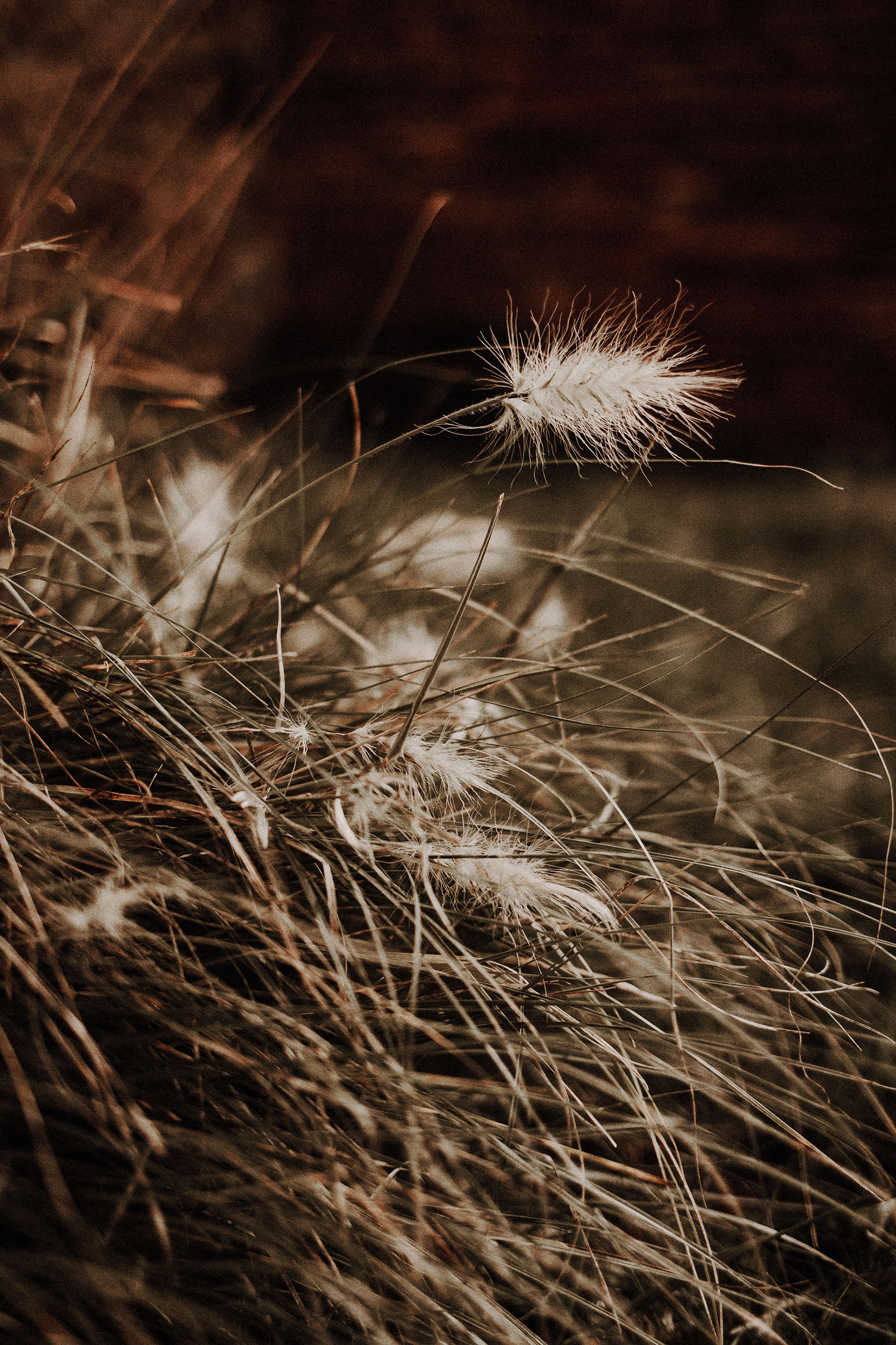 Mariage d'Automne au Château de Fajac La Relenque - Suzanne + Alexandre - Blog Mariage Madame C