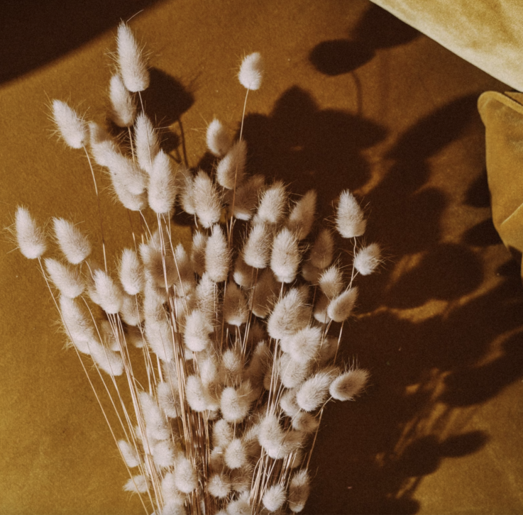 Fleurs séchées mariage