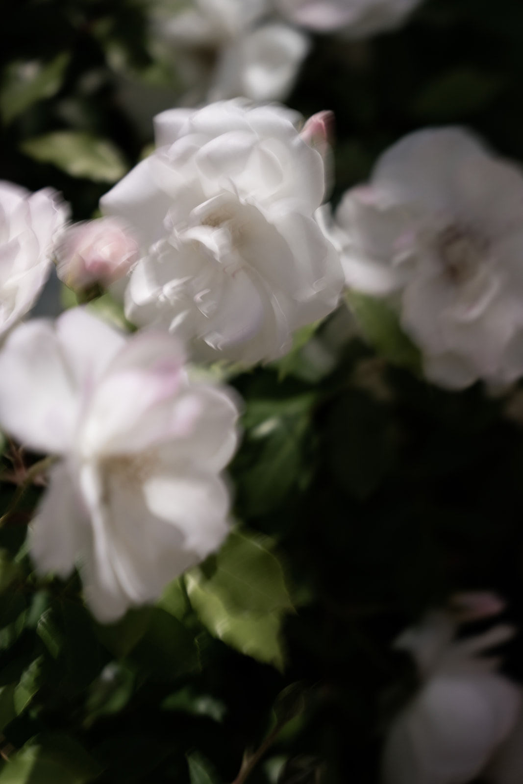 Express Yourself - Blog Mariage Madame C Express Yourself - Blog Mariage Madame C