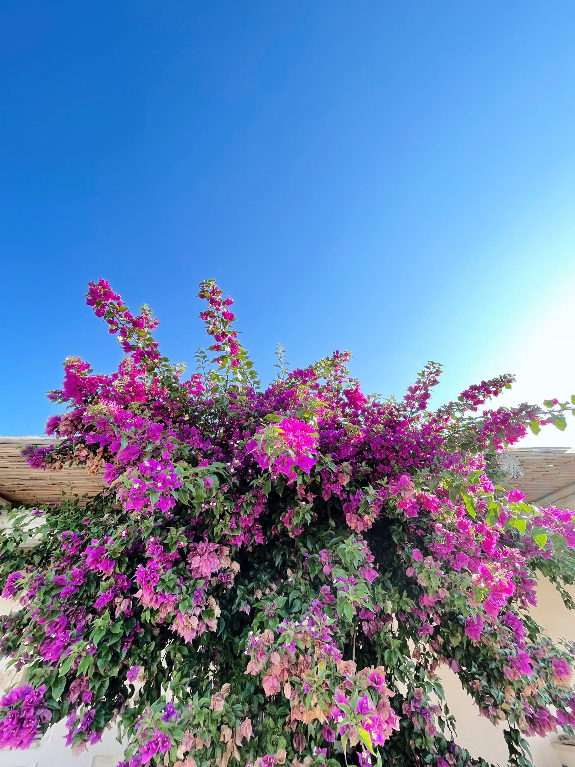 Destination les Pouilles - Blog Mariage Madame C