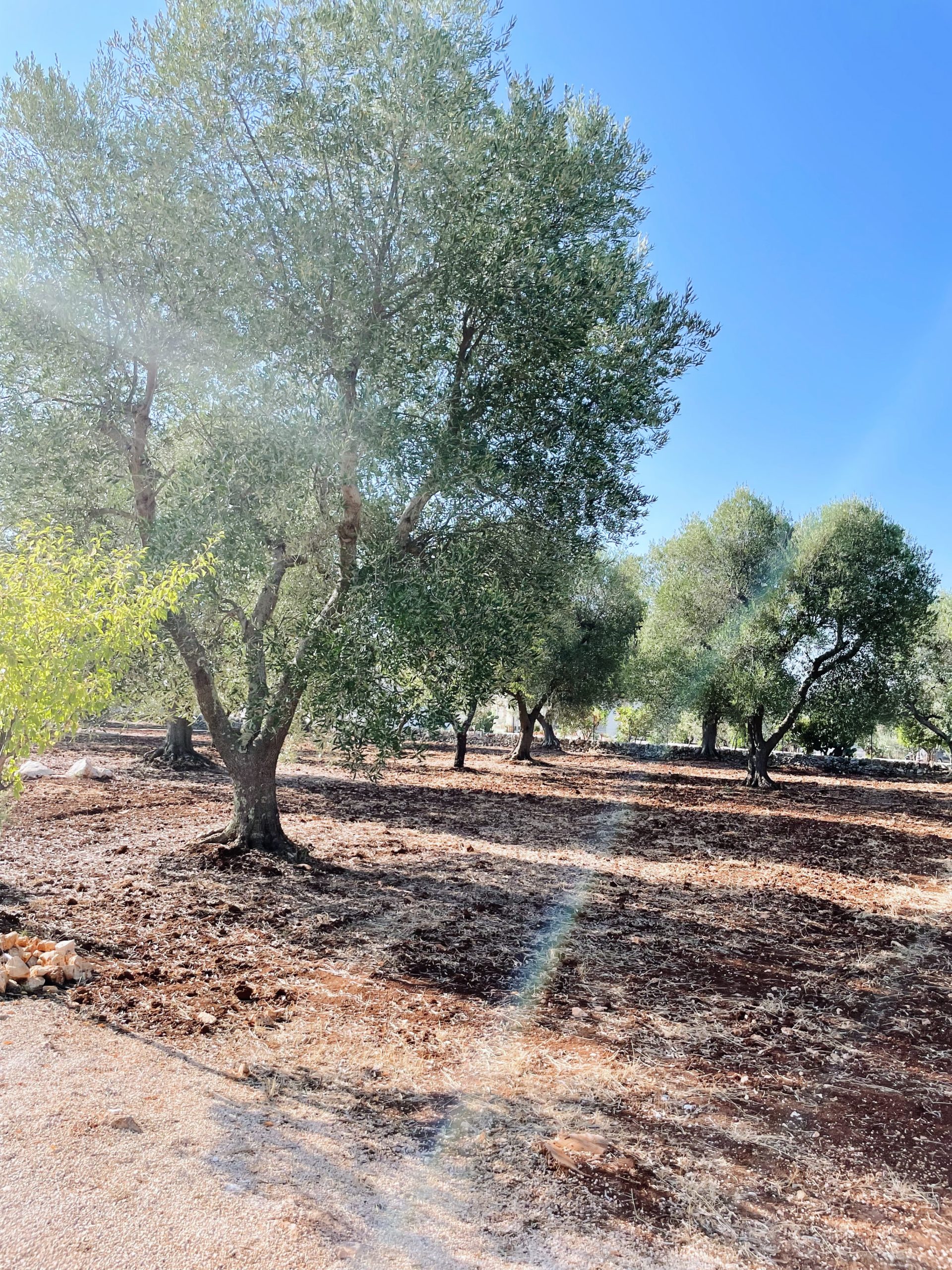 Destination les Pouilles - Blog Mariage Madame C