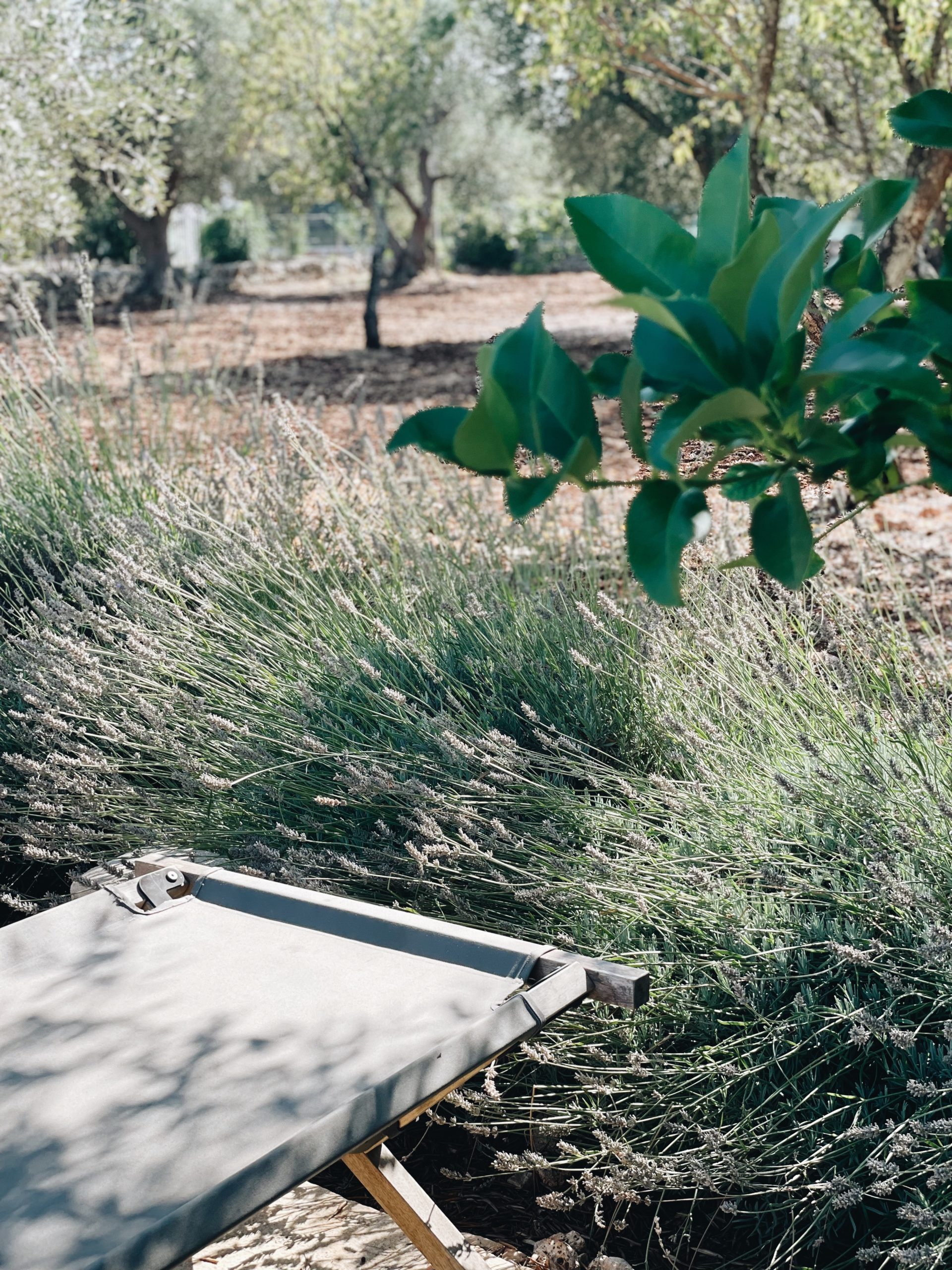 Destination les Pouilles - Blog Mariage Madame C