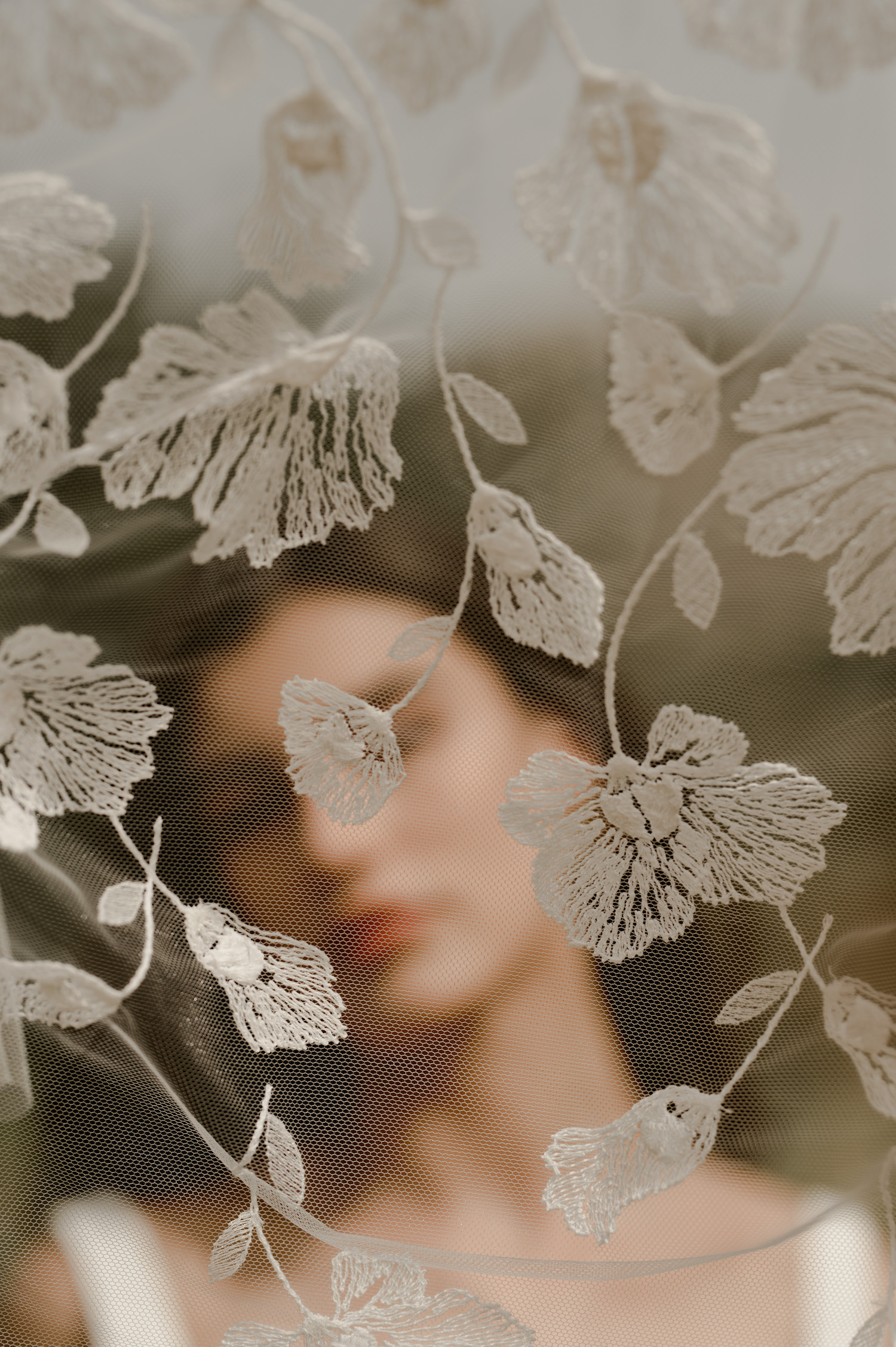 Amarildine Collection 2022