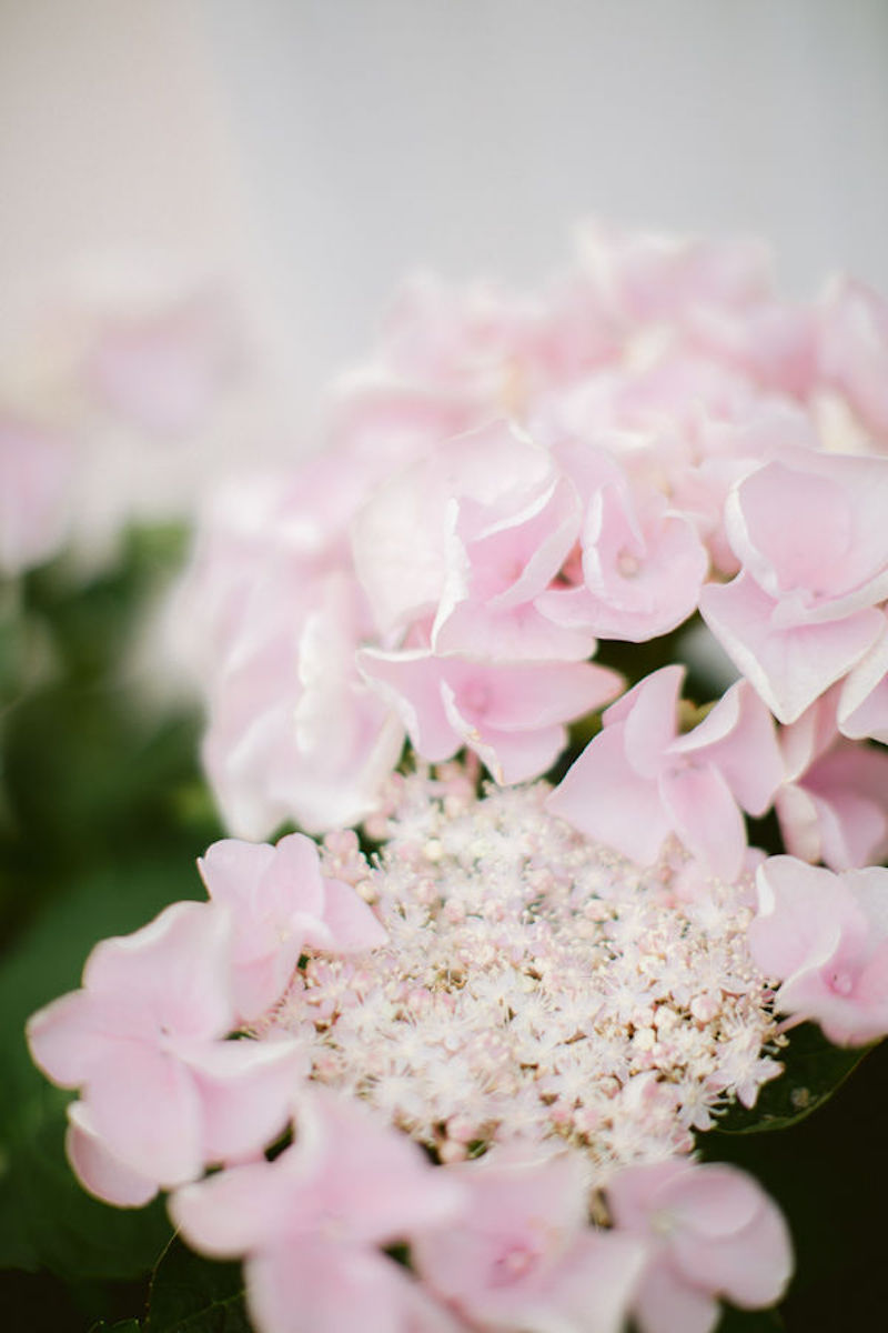 Organiser un mariage éco-responsable - Blog Mariage Madame C