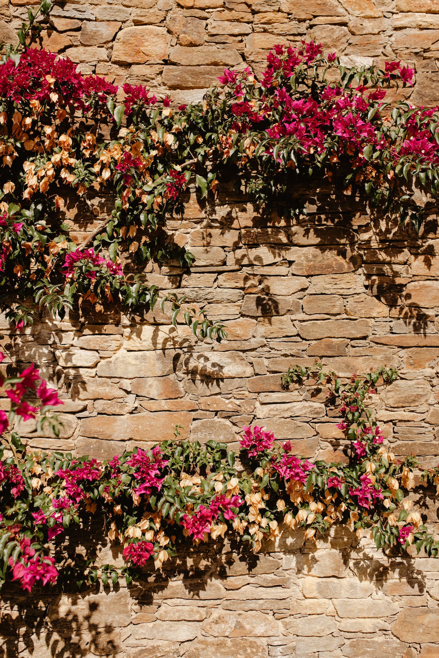 Mariage d'Automne au Lavandou - Julie + Romain - Blog Mariage Madame C