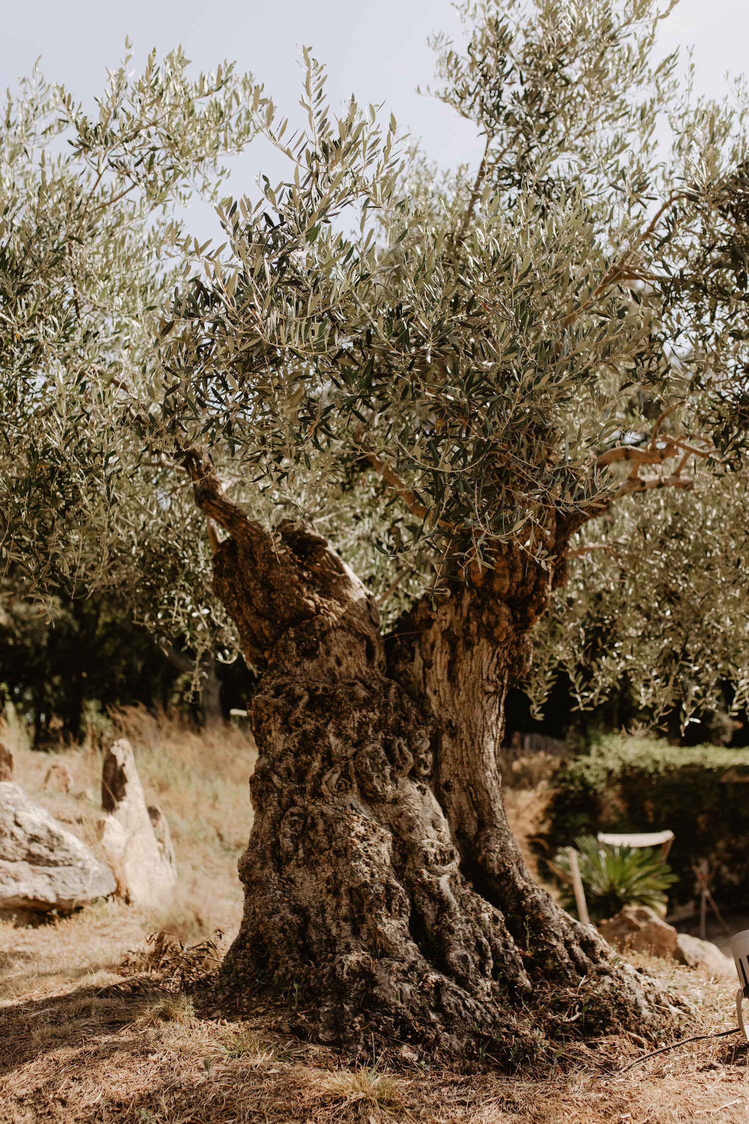 Mariage d'Automne au Lavandou - Julie + Romain - Blog Mariage Madame C