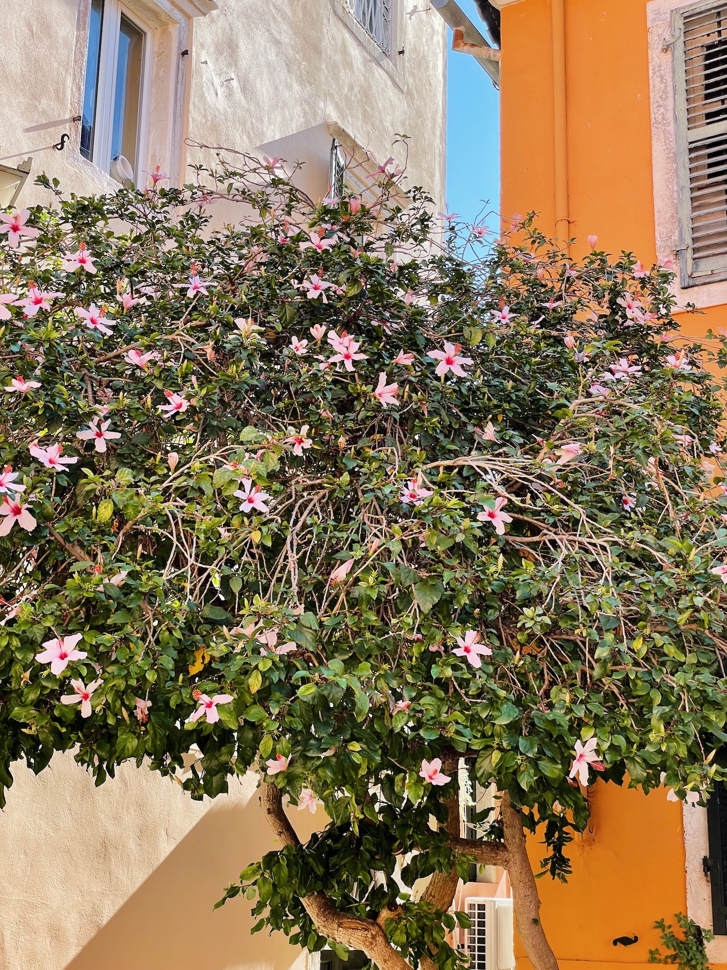 Destination Corfou - Blog Mariage Madame C