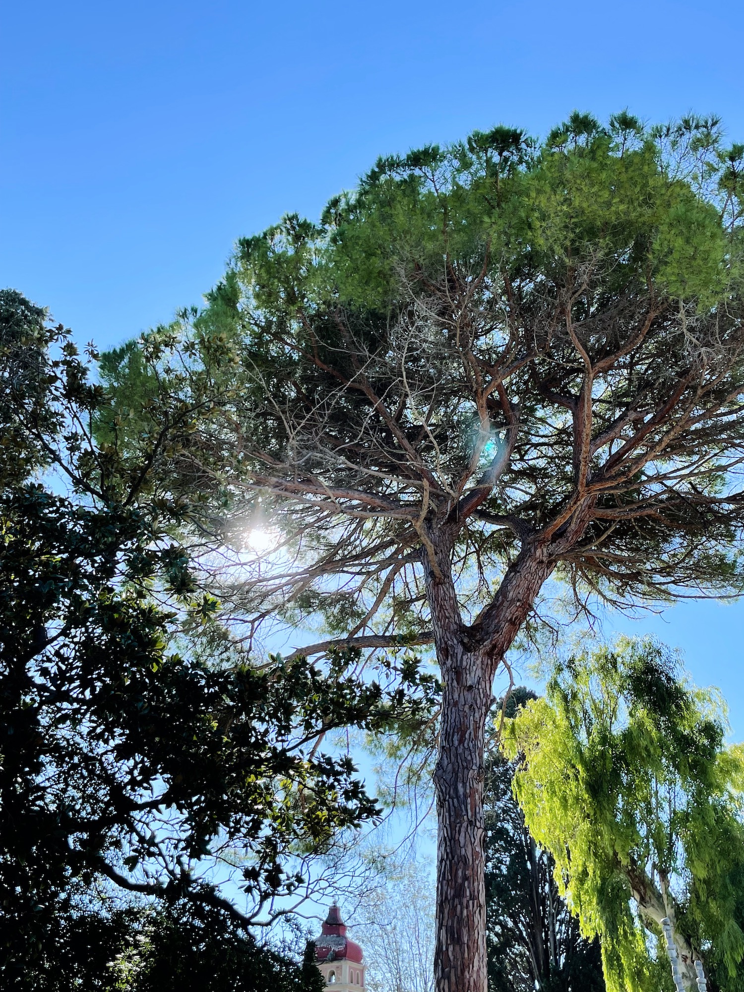 Destination Corfou - Blog Mariage Madame C