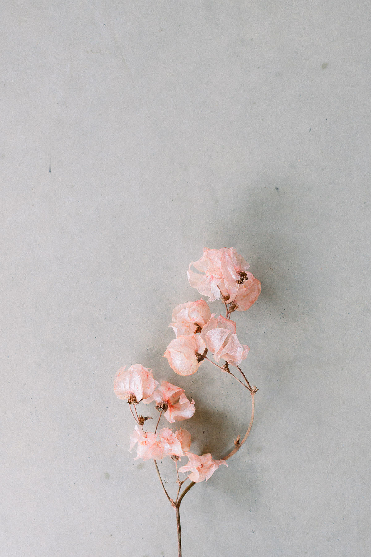 Mariage simple et romantique aux inspirations sauvages - Blog Mariage Madame C