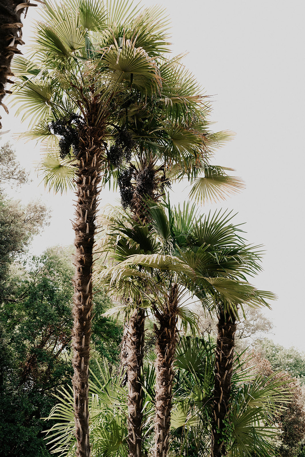 Céline Ménard Collection 2022 - Robes de mariée - Blog Mariage Madame C