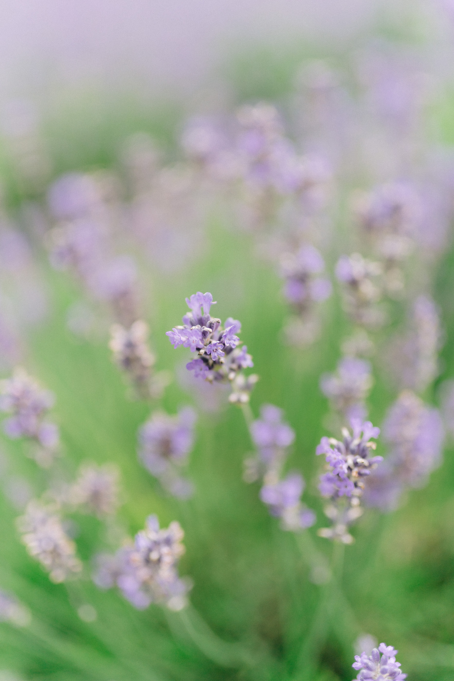 Mariage en Bourgogne au Château de Varennes - Maria + Mathieu - Blog Mariage Madame C Mariage en Bourgogne au Château de Varennes - Maria + Mathieu - Blog Mariage Madame C