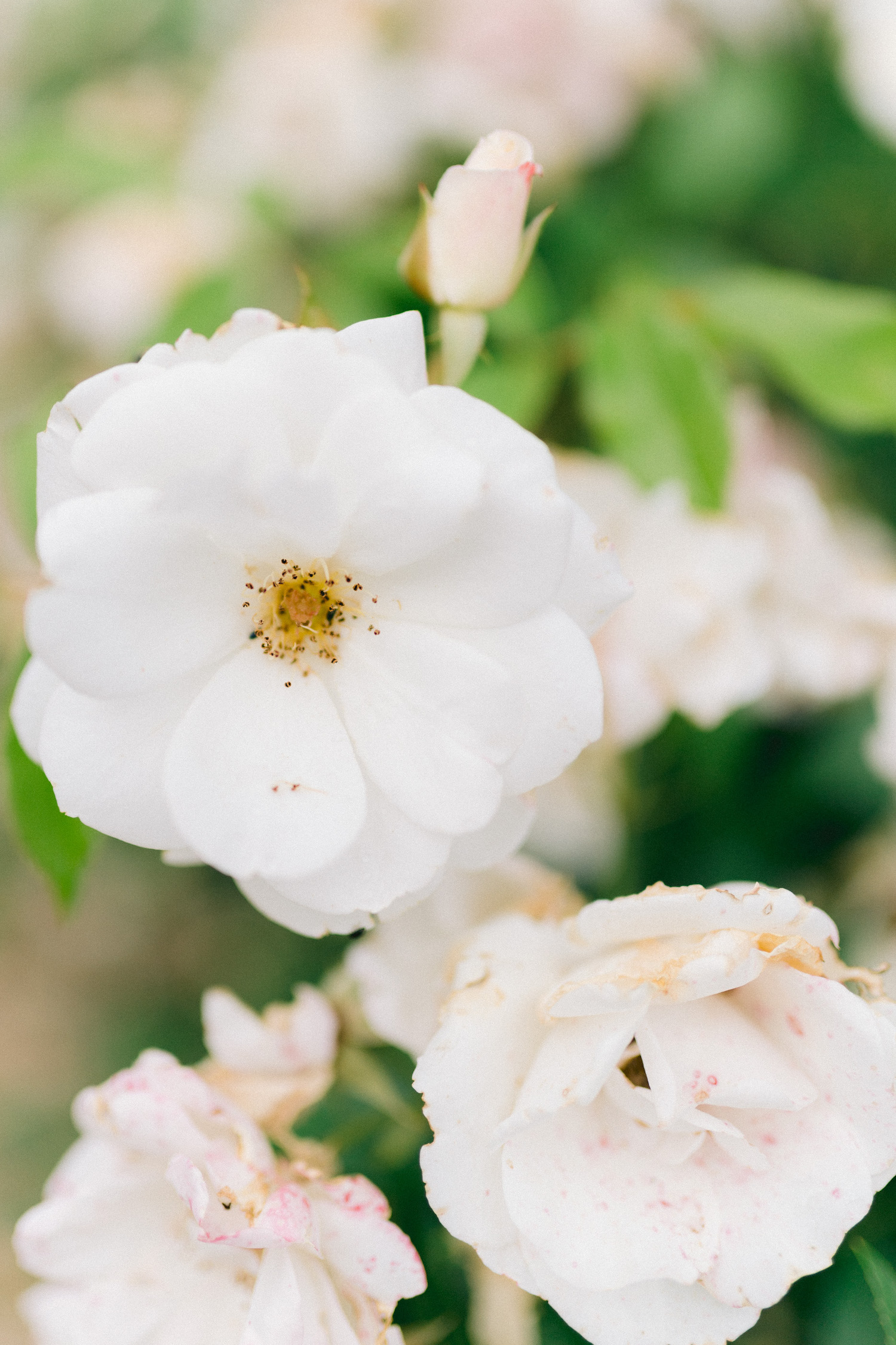 Mariage en Bourgogne au Château de Varennes - Maria + Mathieu - Blog Mariage Madame C Mariage en Bourgogne au Château de Varennes - Maria + Mathieu - Blog Mariage Madame C