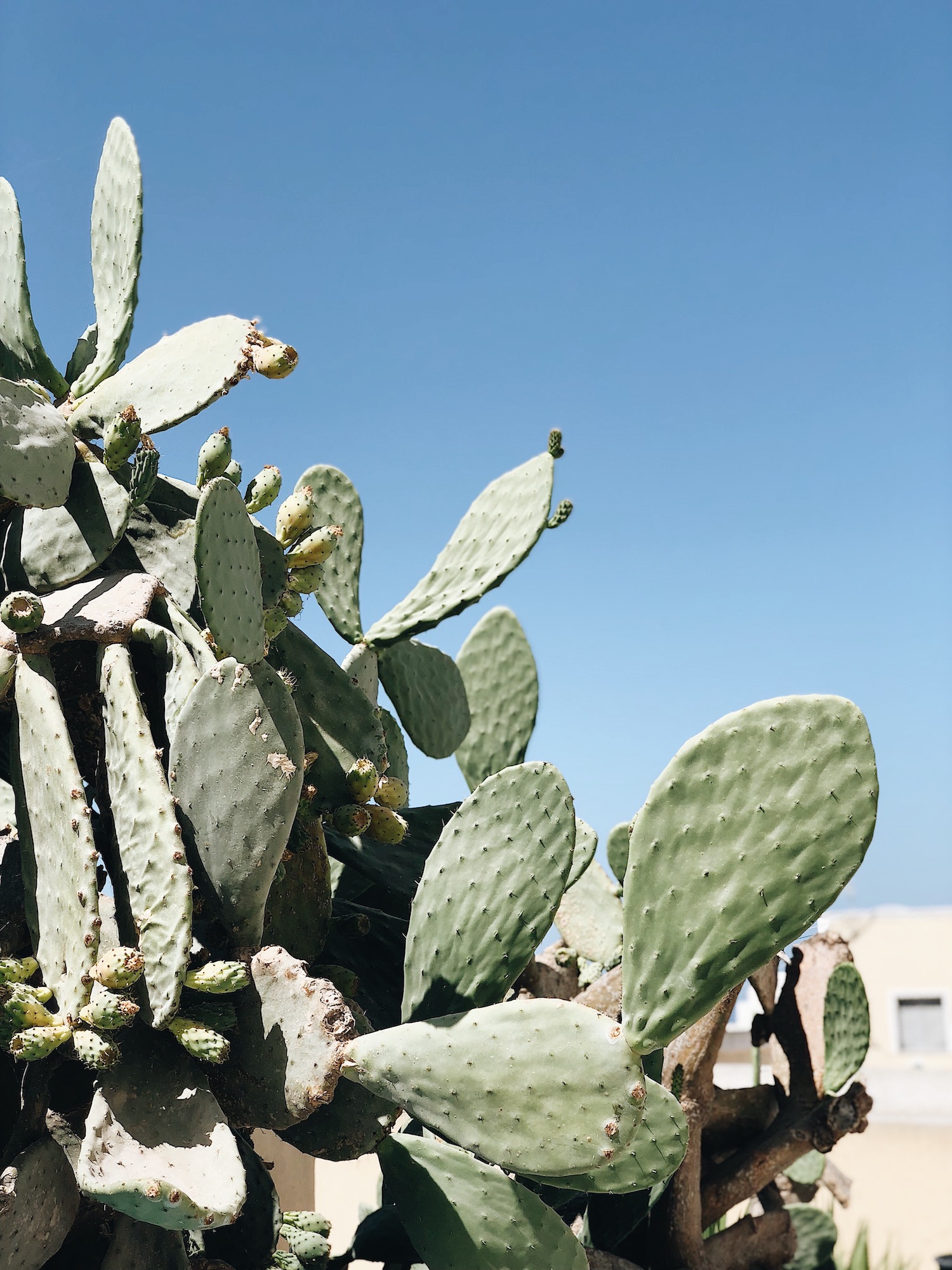 Destination Santorin - Blog Mariage Madame C