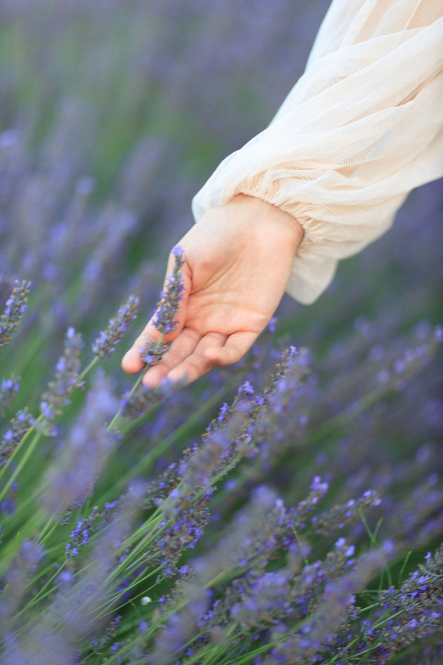 Mademoiselle Rêve Collection 2022 - Robes de Mariée - Blog Mariage Madame C