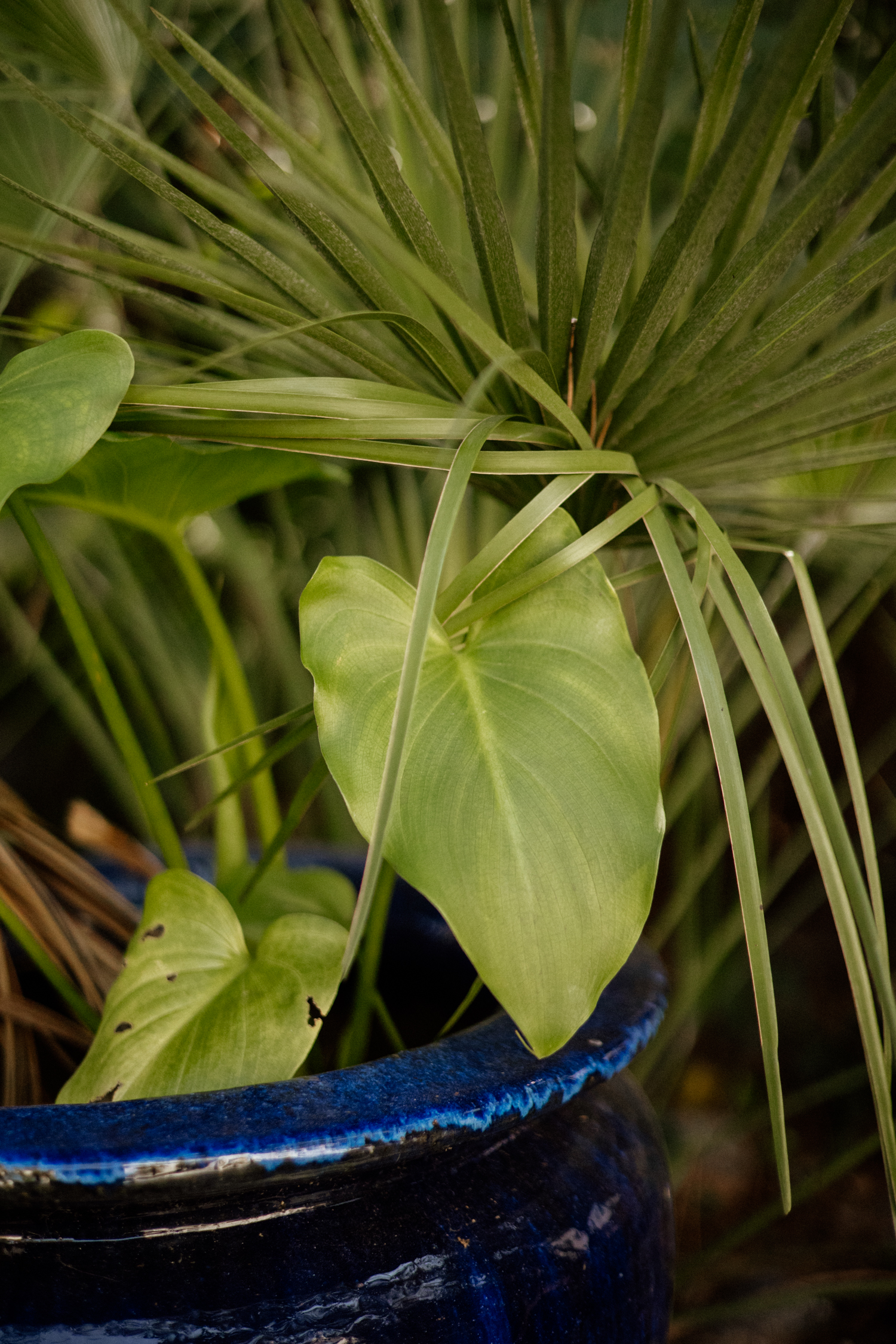 Fugue méditerranéenne La Vita è bella - Blog Mariage Madame C