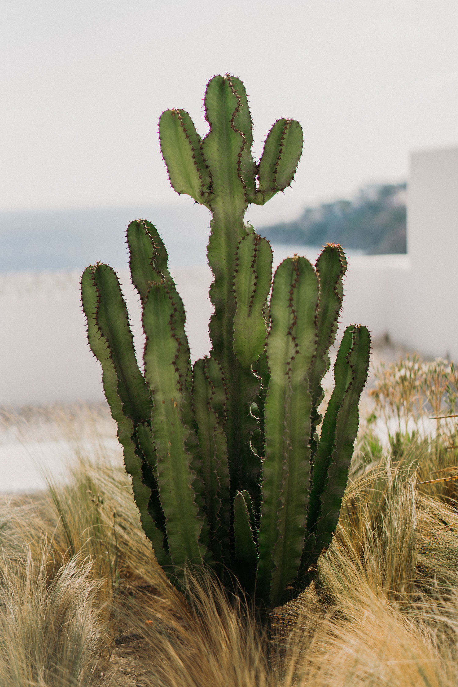 Fugue Moderne à Mykonos - Blog Mariage Madame C