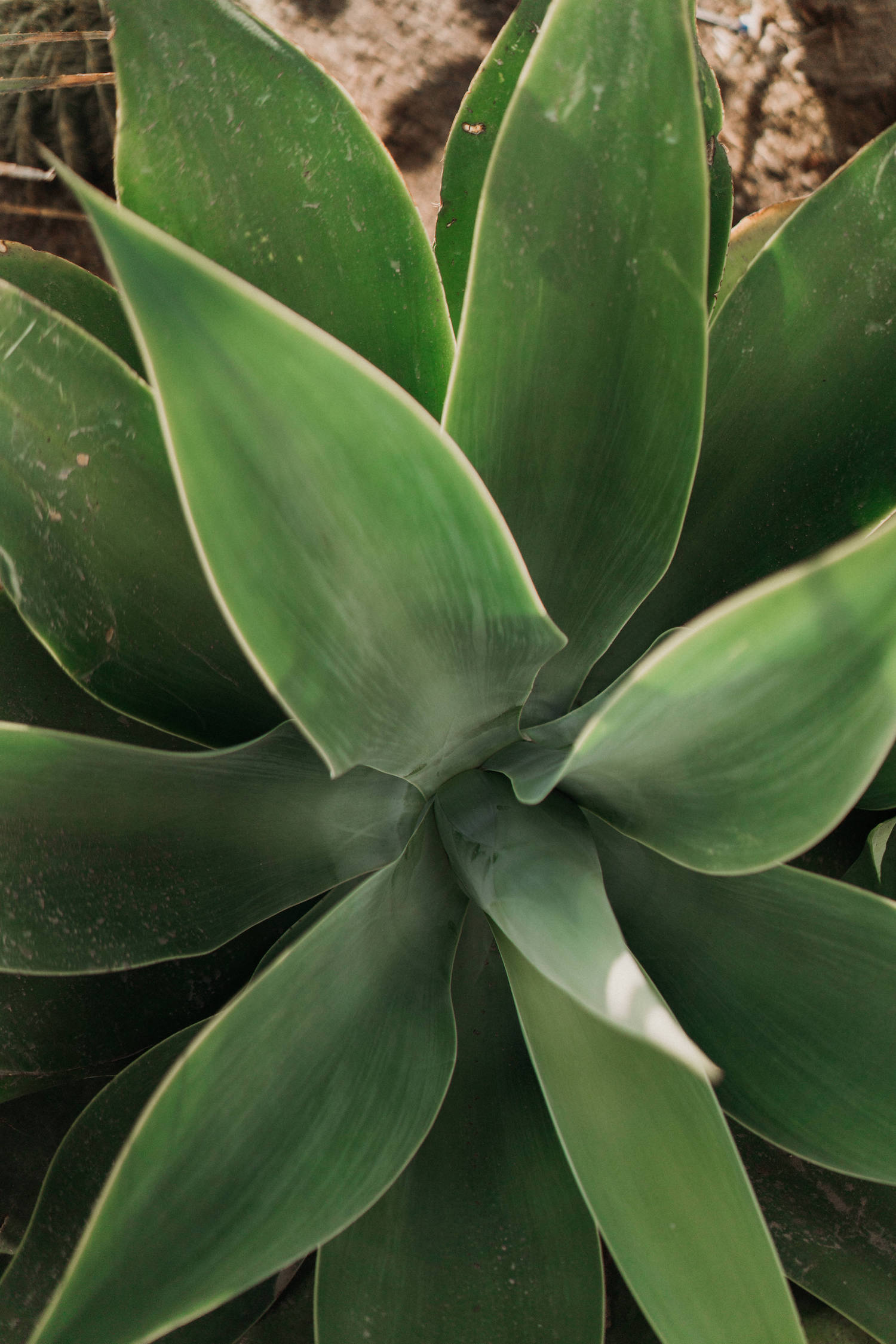 Fugue Moderne à Mykonos - Blog Mariage Madame C