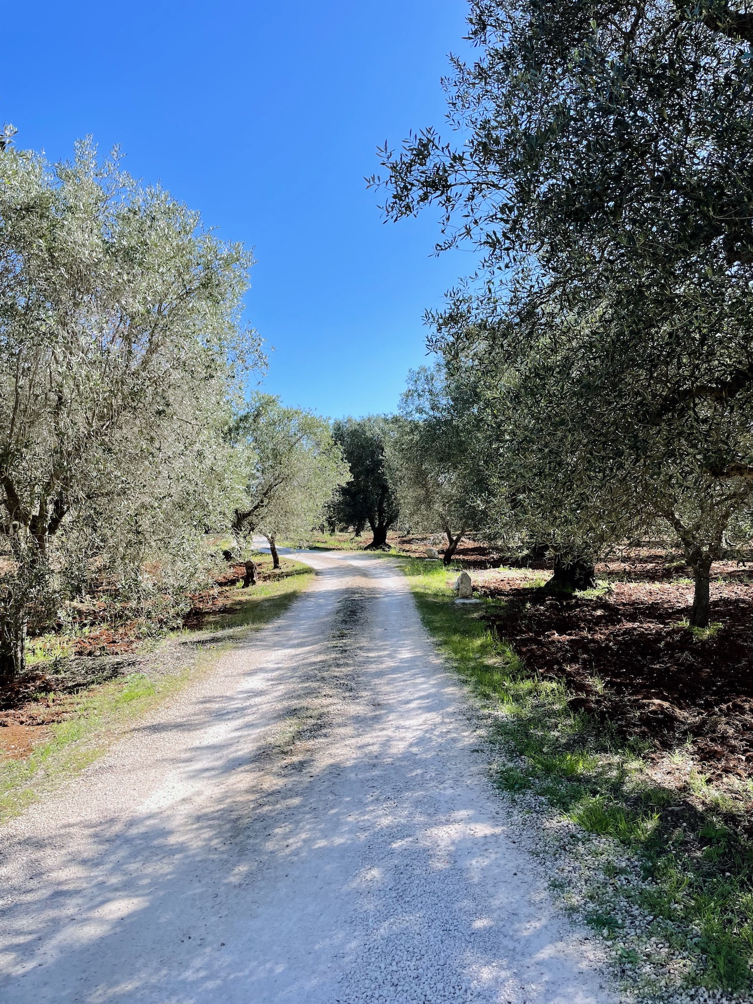 Escapade de printemps aux Pouilles - Blog Mariage Madame C