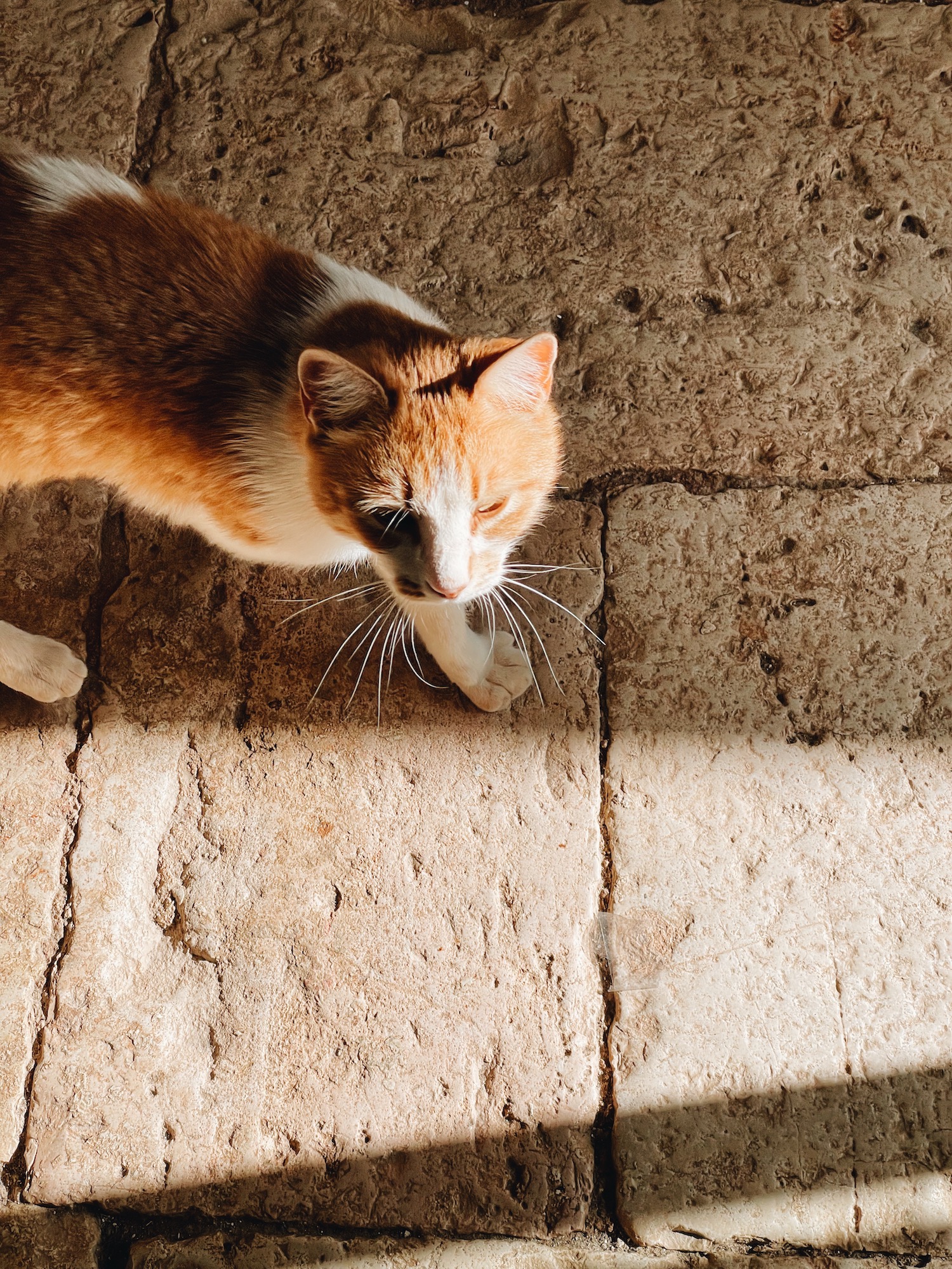 Escapade de printemps aux Pouilles - Blog Mariage Madame C