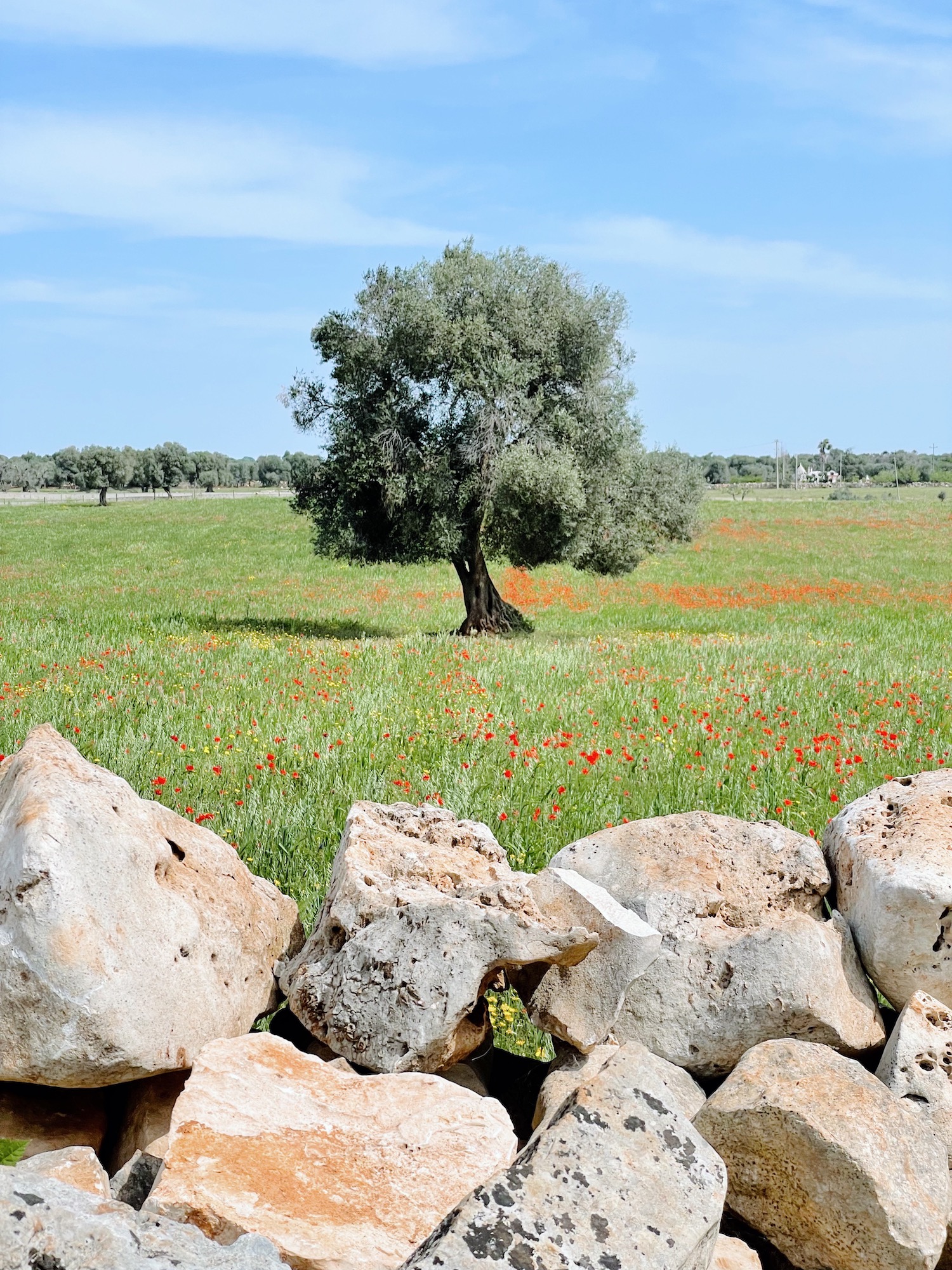 Escapade de printemps aux Pouilles - Blog Mariage Madame C