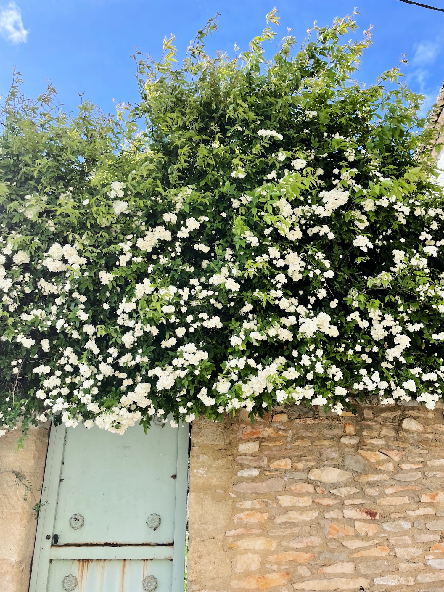 Last Summer - Blog Mariage Madame C Last Summer - Blog Mariage Madame C