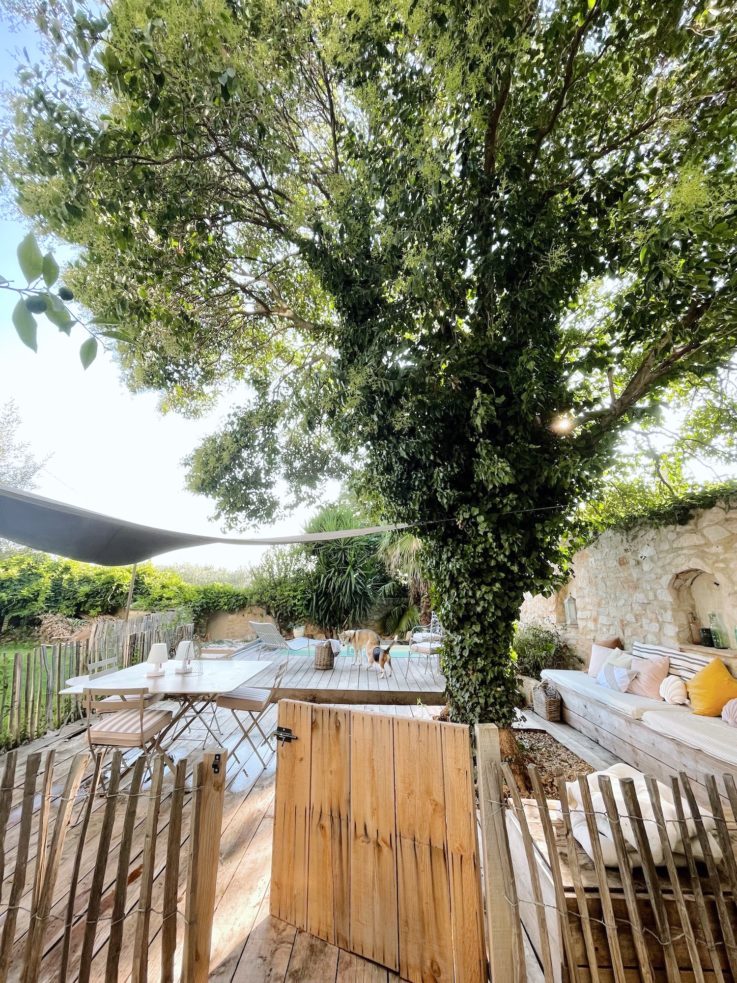 Dernier été en Camargue © Clémentine Marchal