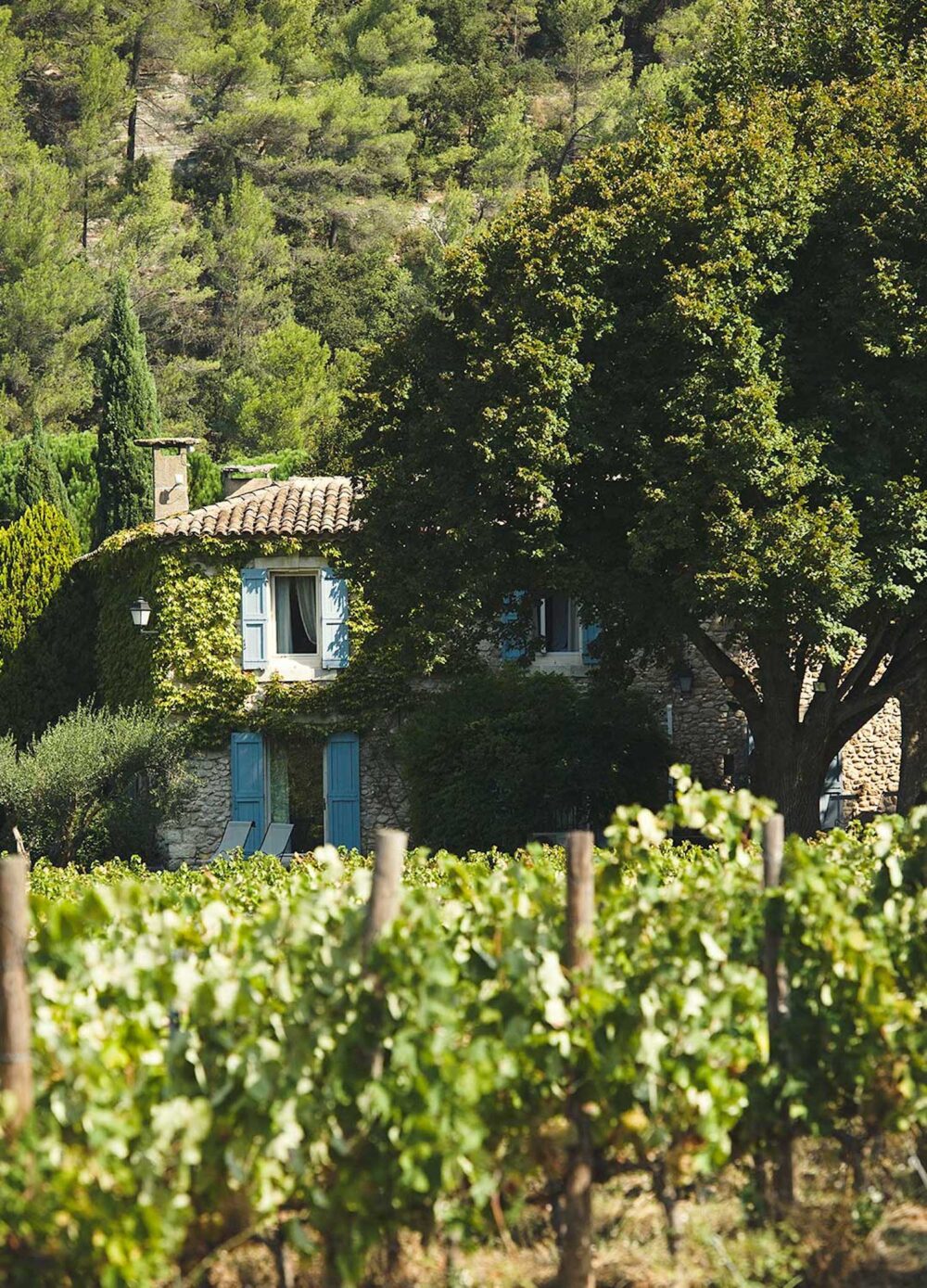 Lune de miel en Provence : les plus beaux hôtels et maisons d’hôtes - Blog Mariage Madame C