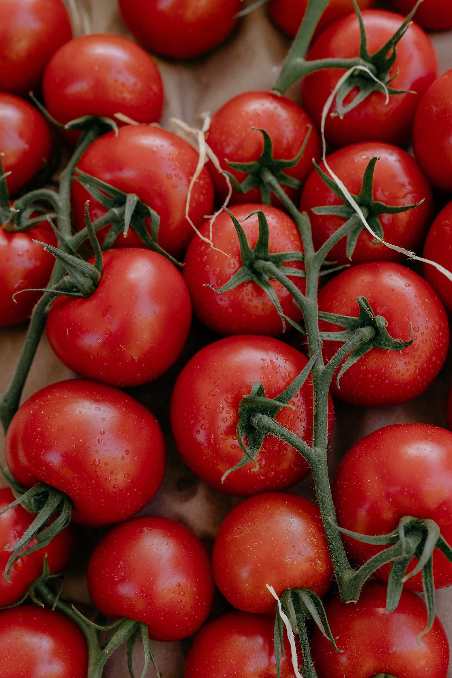 Mariage couture en Provence - Maxine + Owen - Blog Mariage Madame C