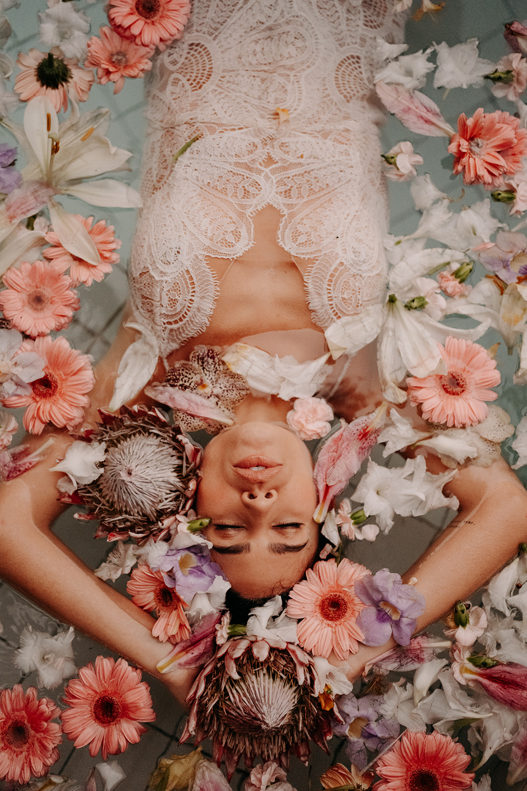 Alma Real Collection 2023