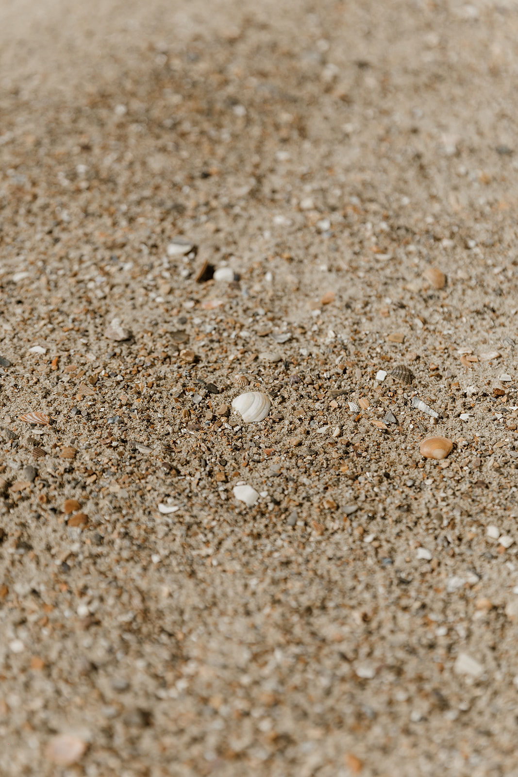 Maïté Bailleul Collection 2023 - Robes de mariée - Blog Mariage Madame C Maïté Bailleul Collection 2023 - Robes de mariée - Blog Mariage Madame C