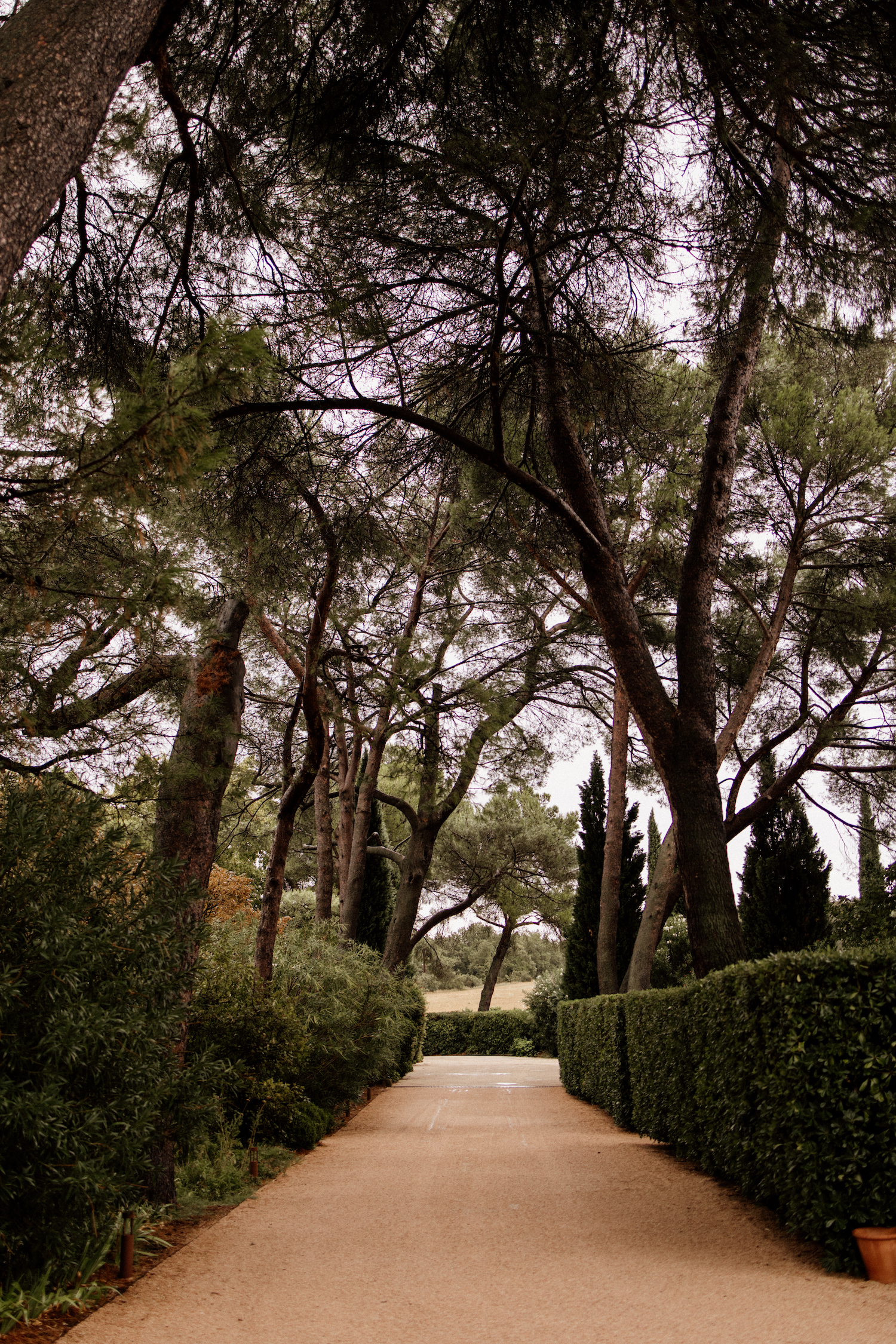 Mariage au Château la Tour Vaucros - Pauline + Thibault - Blog Mariage Madame C