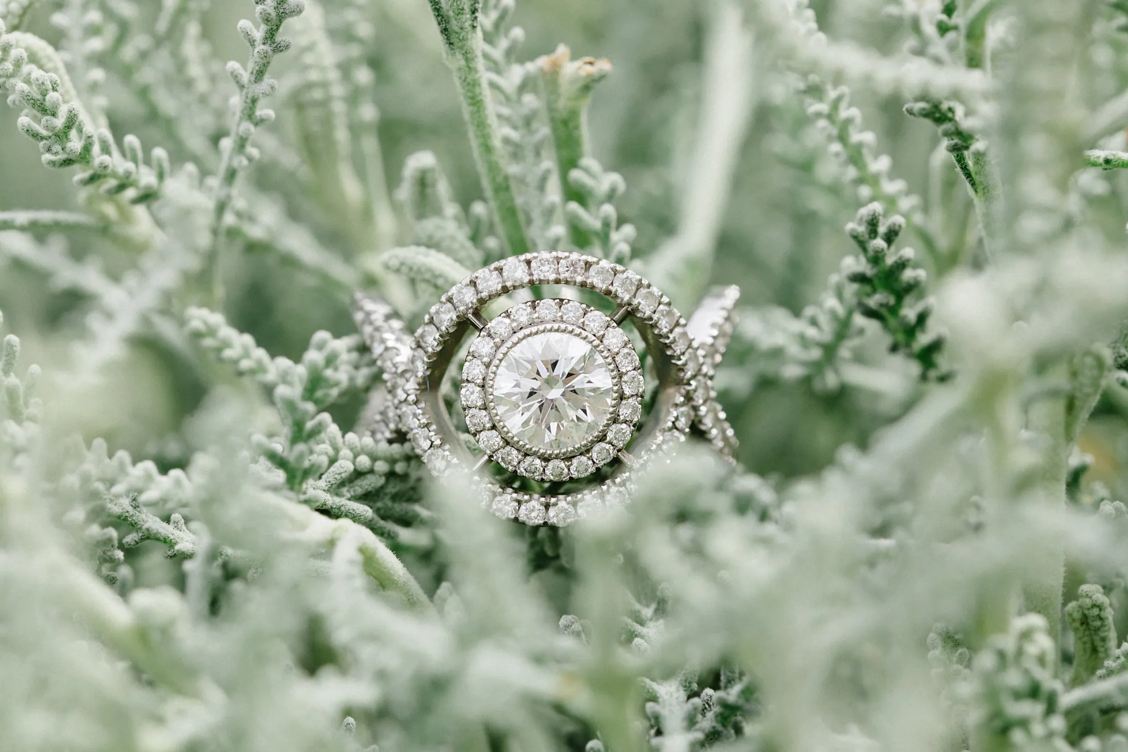 Your favorite articles on 2022 - Madame C Wedding Blog