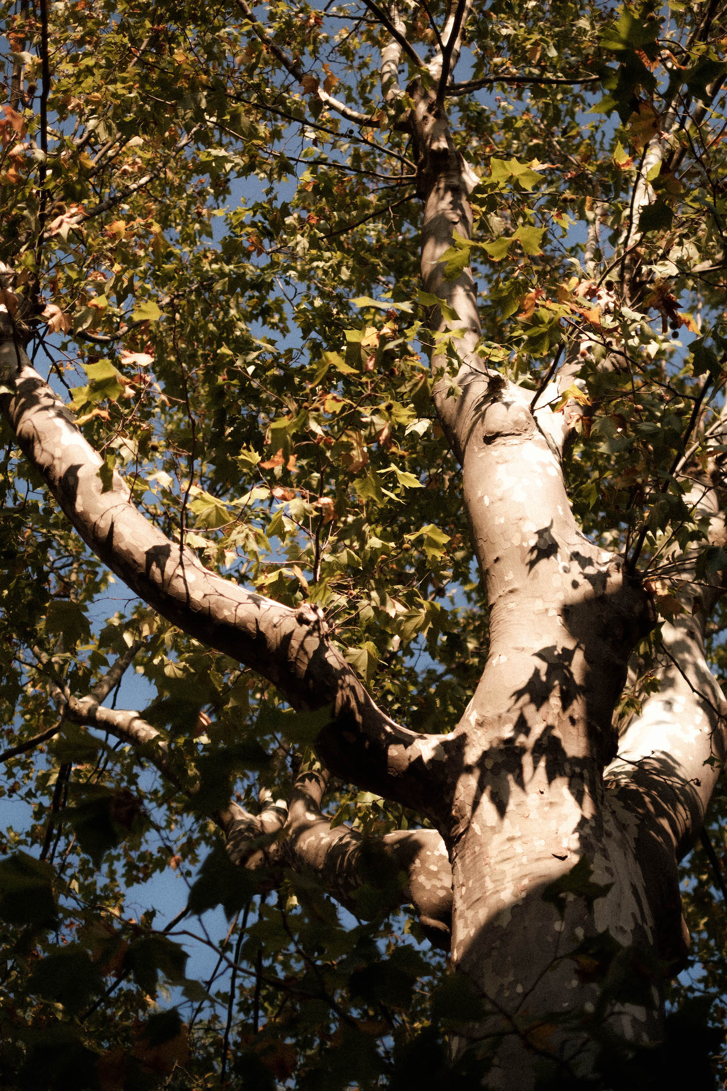Mariage au Château de Clary - Valentine + Paul - Blog Mariage Madame C