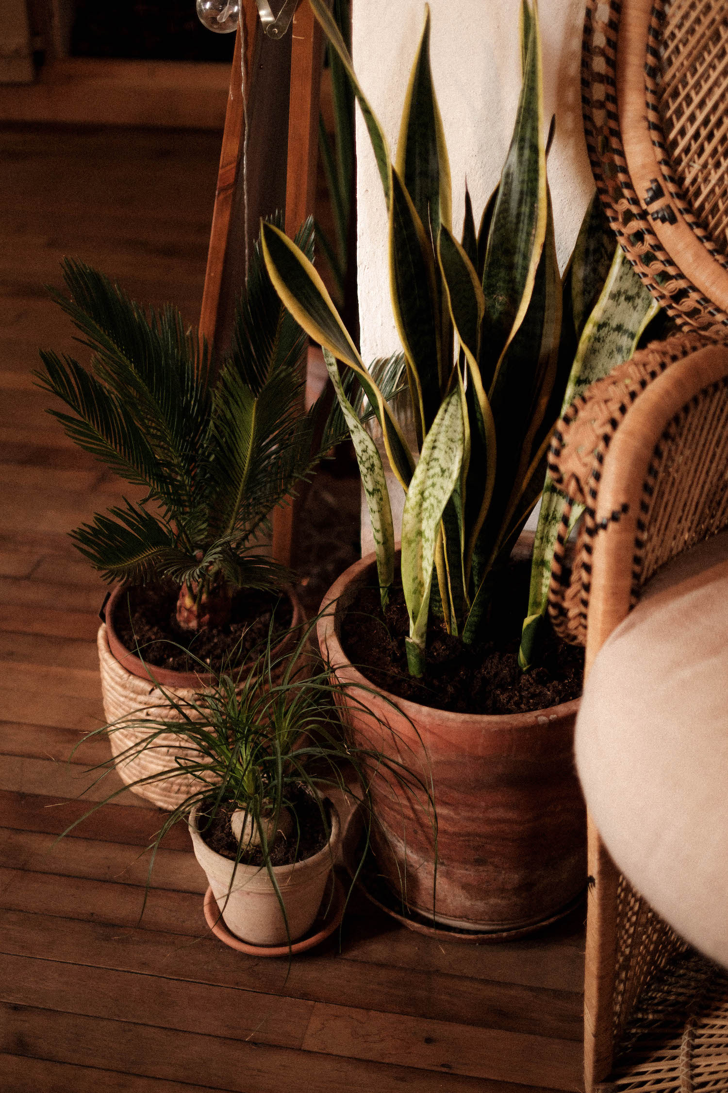 Mariage au Château de Clary - Valentine + Paul - Blog Mariage Madame C