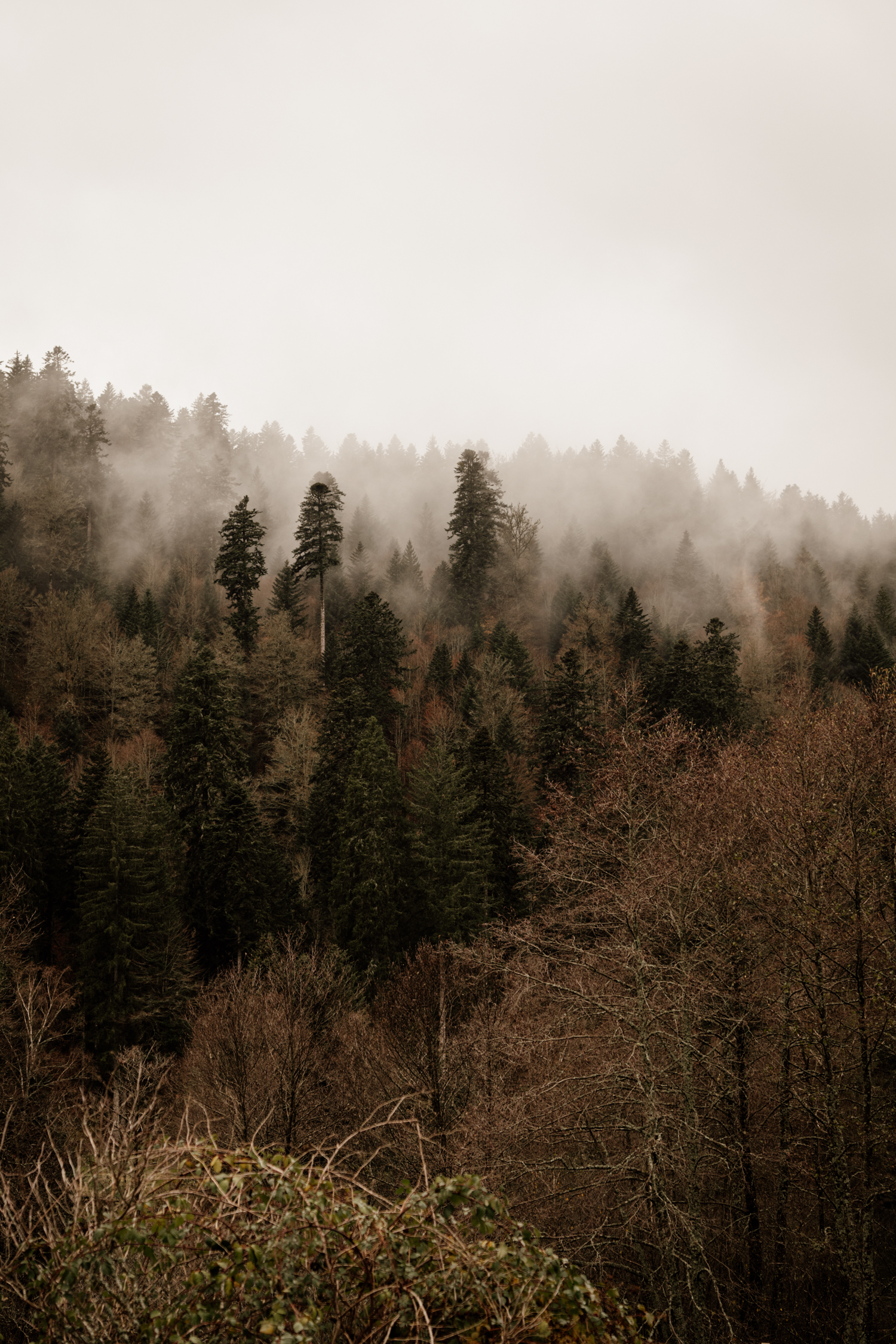 Mariage hivernal en montagne - Blog Mariage Madame C Mariage hivernal en montagne - Blog Mariage Madame C